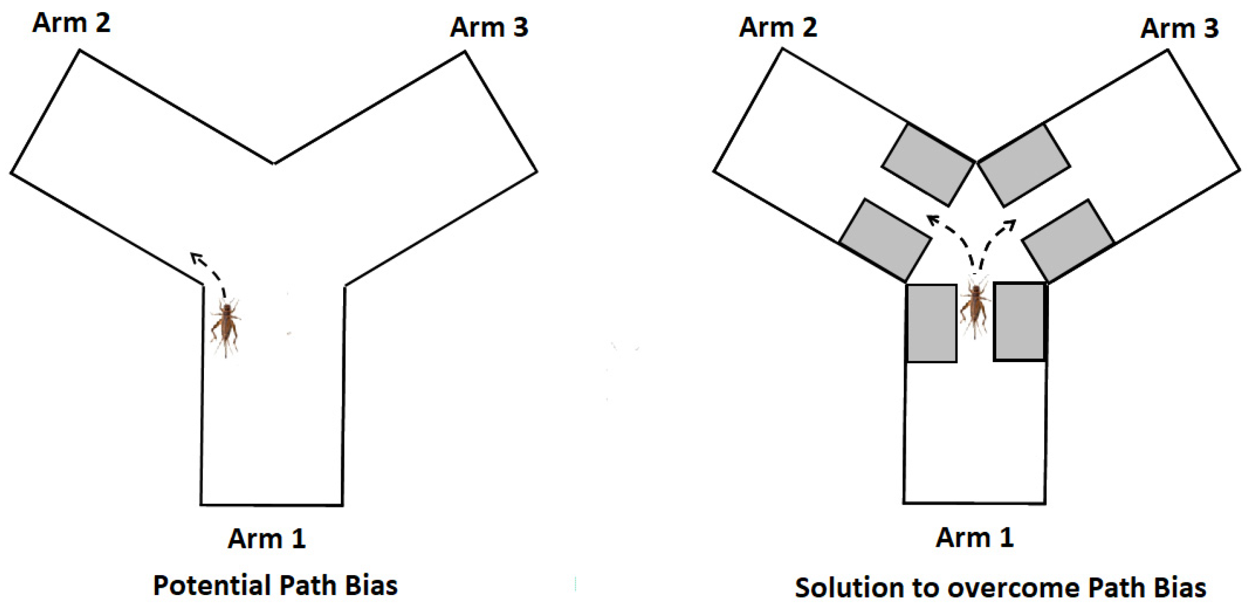Nutrients 13 00362 g004 Nutrients 13 00362 g004
