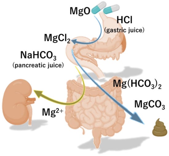 Nutrients | Free Full-Text | Magnesium Oxide in Constipation
