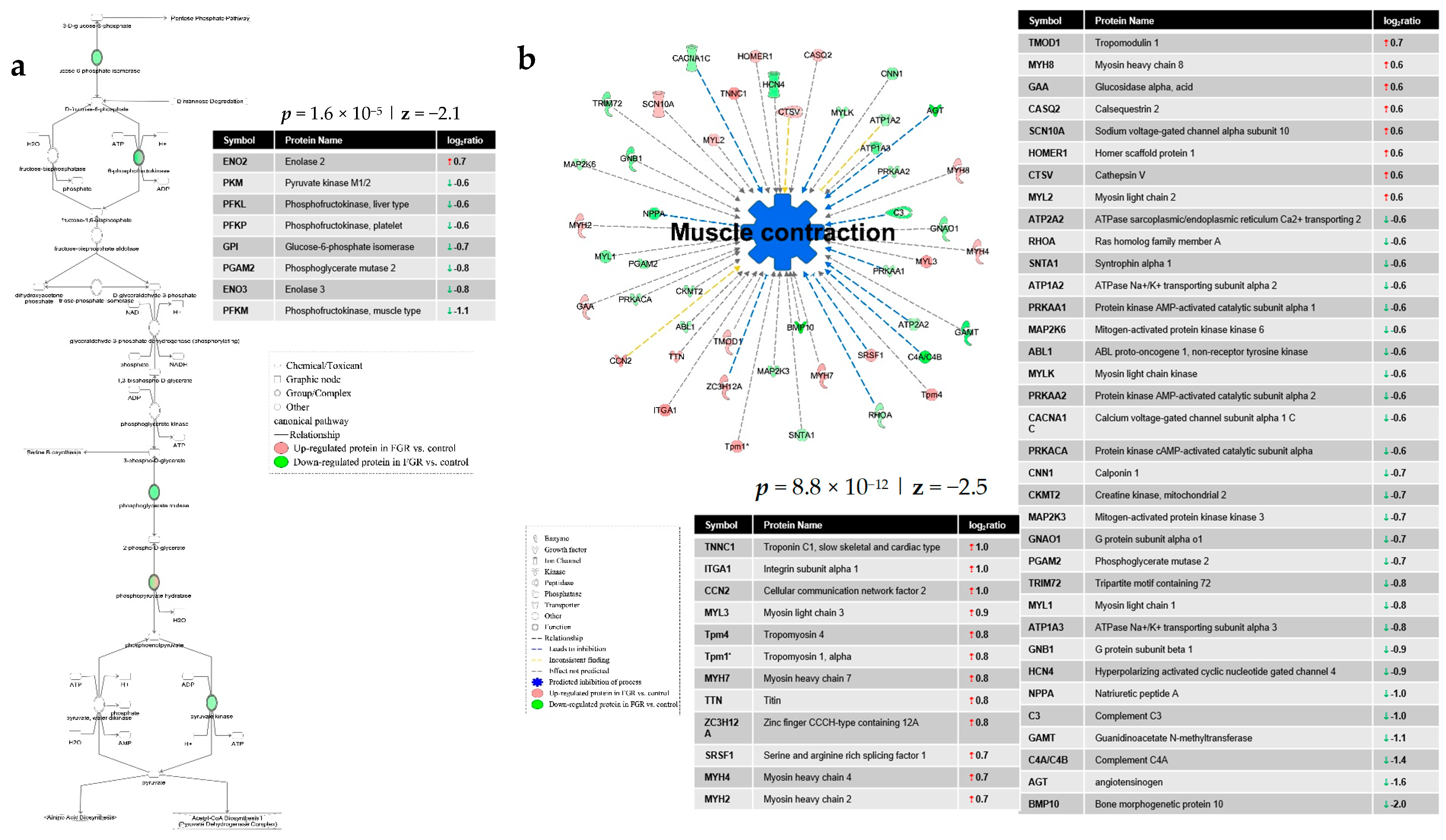 Nutrients 13 00466 g003 Nutrients 13 00466 g003