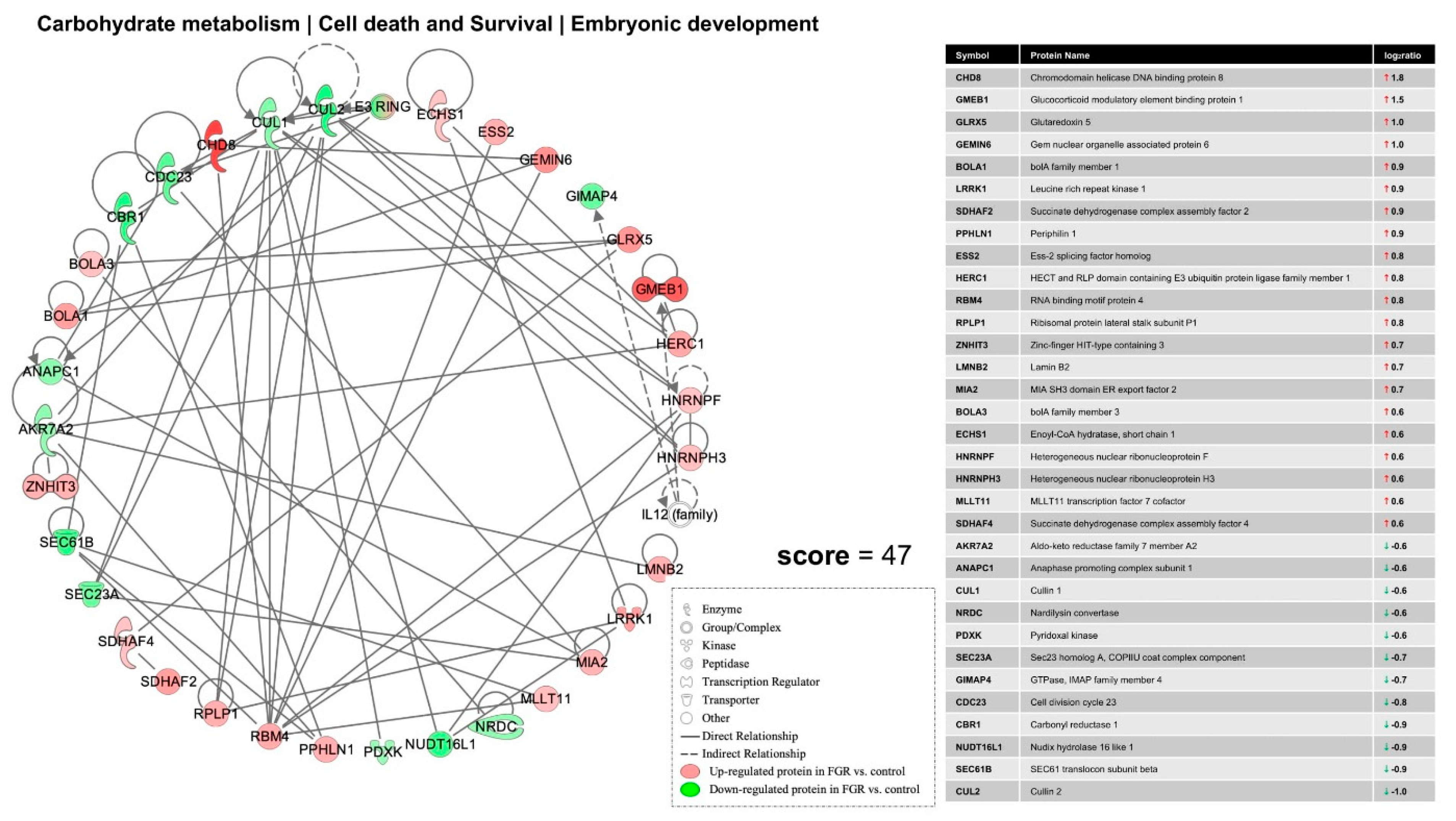 Nutrients 13 00466 g004 Nutrients 13 00466 g004