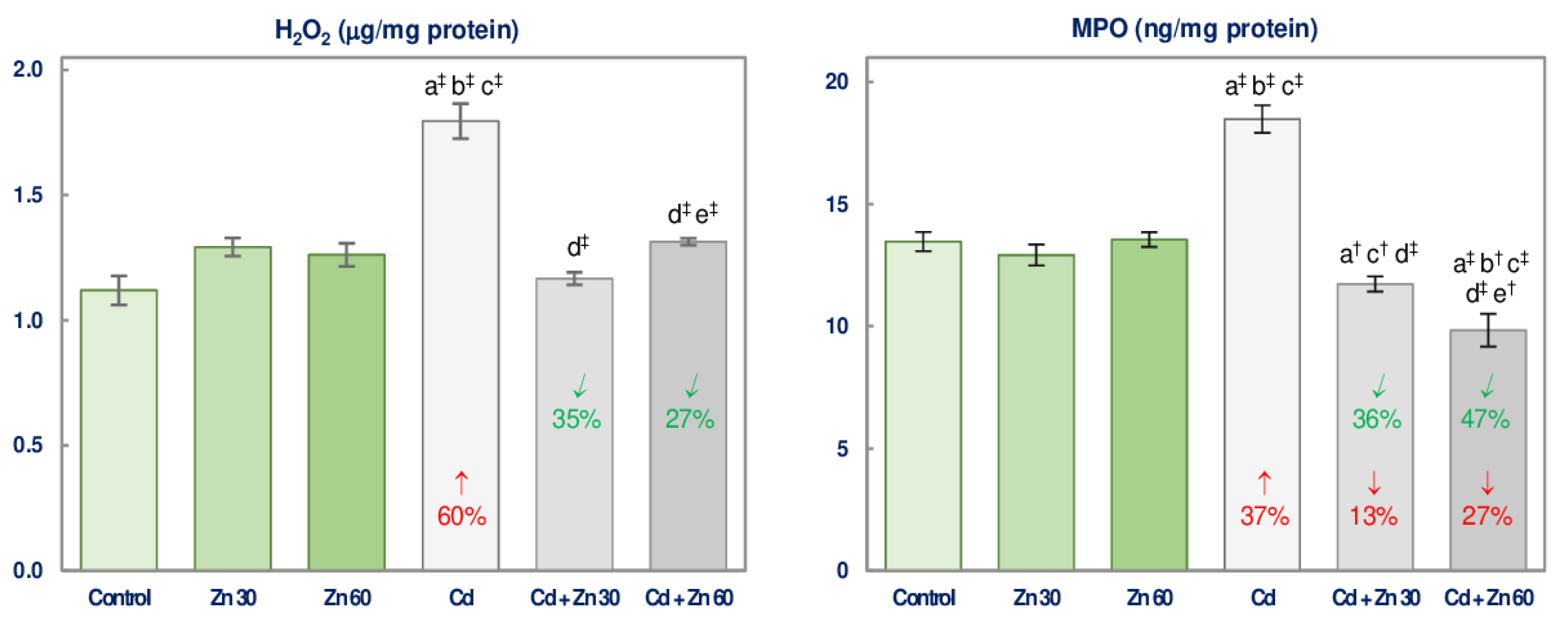 Nutrients 13 00478 g004 Nutrients 13 00478 g004