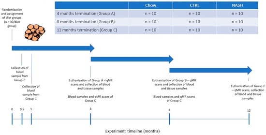 Age of Laboratory Hamster and Human: Drawing the Connexion – Biomedical and  Pharmacology Journal