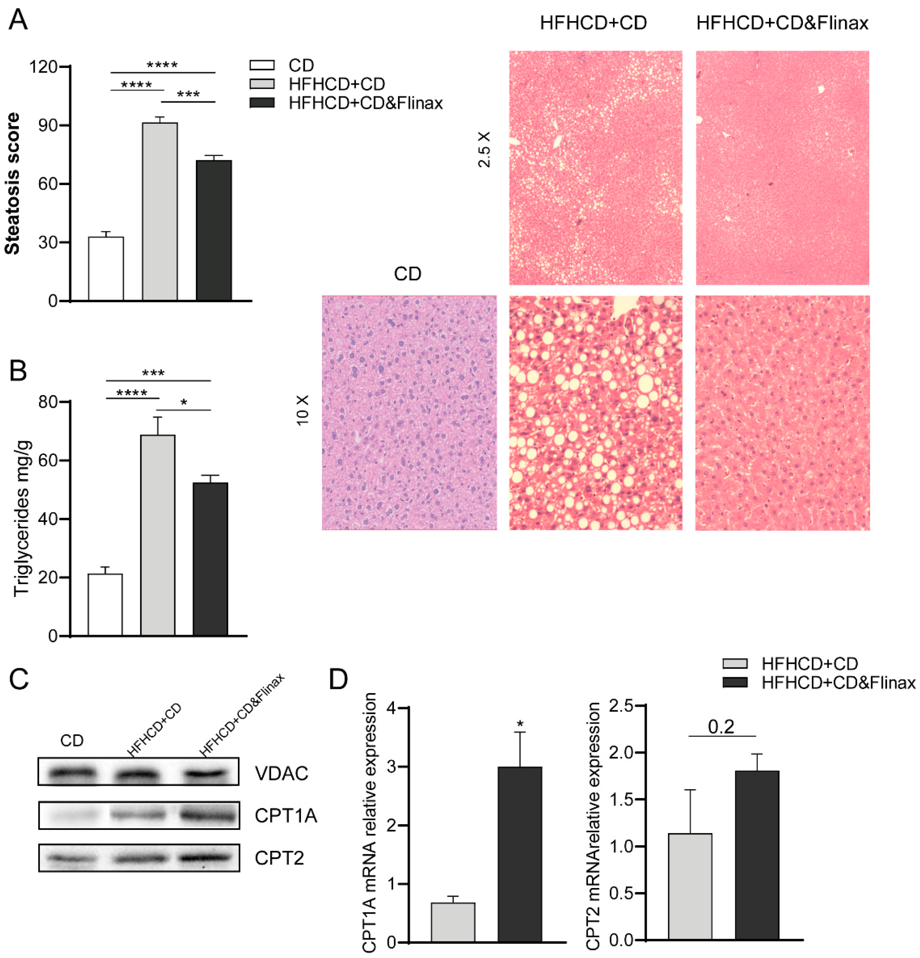 Nutrients 13 00652 g002