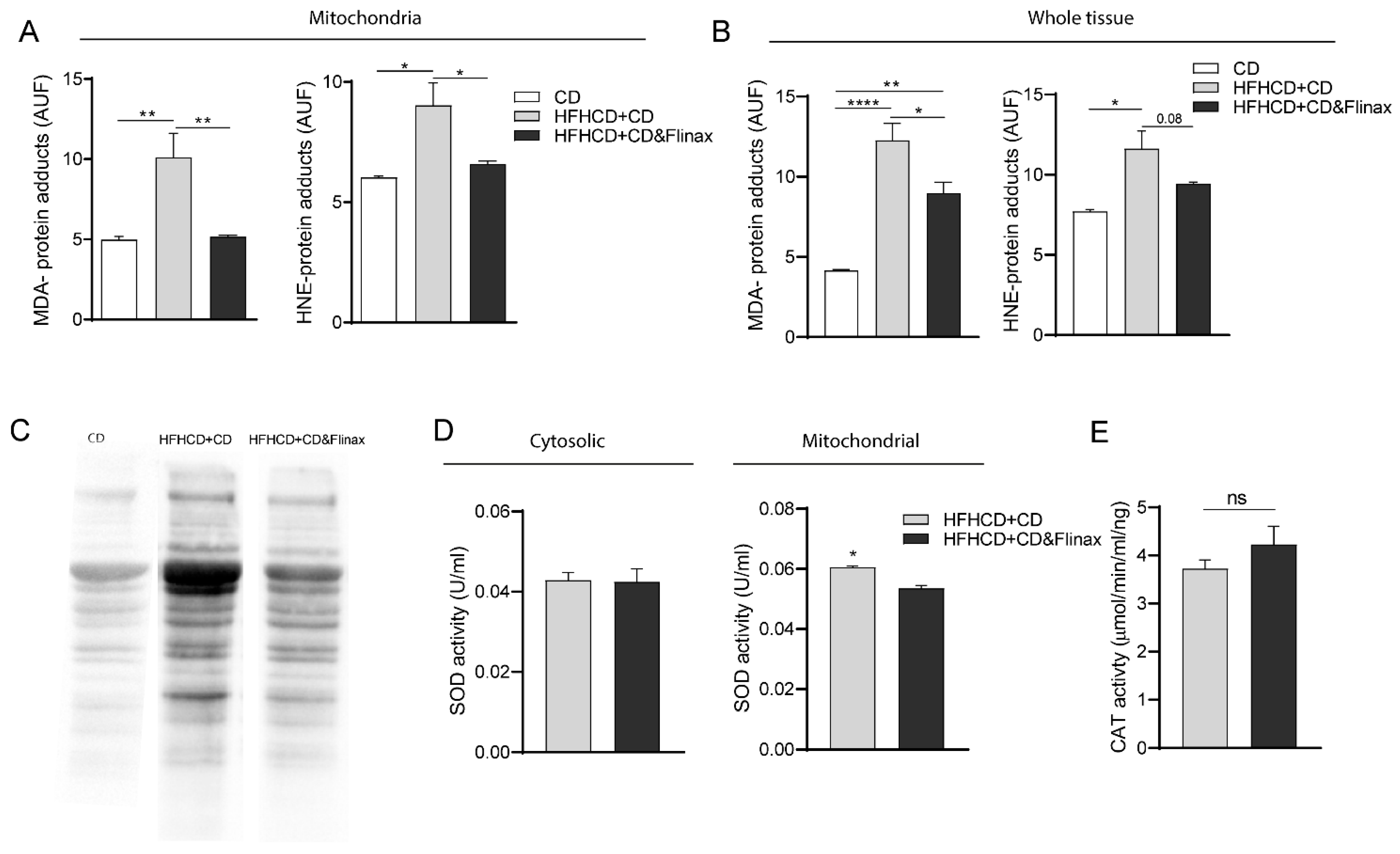 Nutrients 13 00652 g003