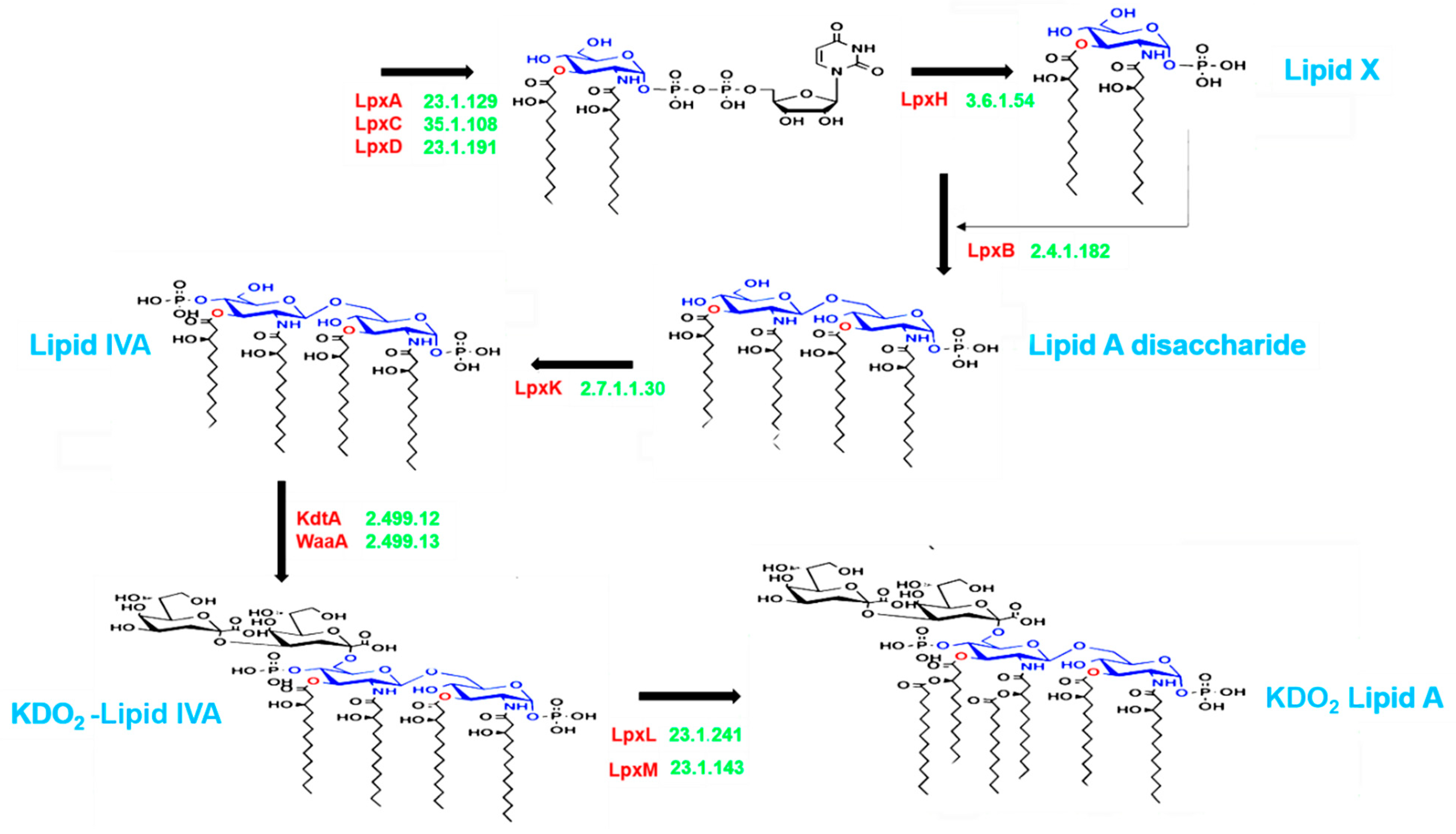 Nutrients 13 00688 g001 Nutrients 13 00688 g001