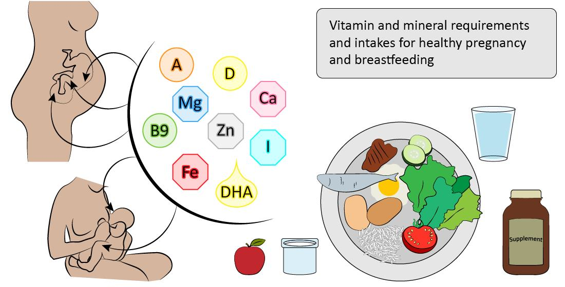 Nutrients Free Full Text Nutrient Requirements During Pregnancy And Lactation