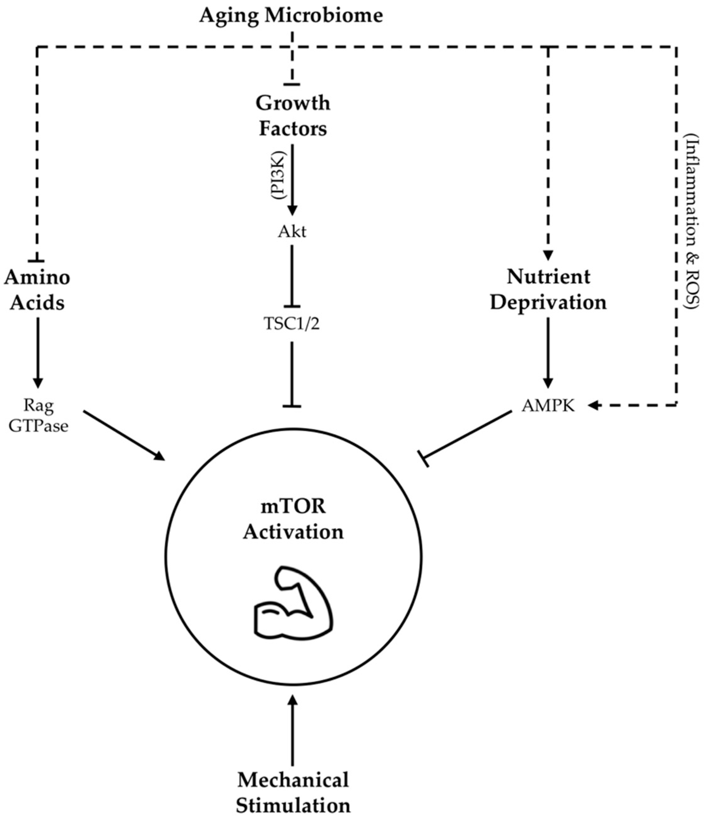 Nutrients 13 00706 g001
