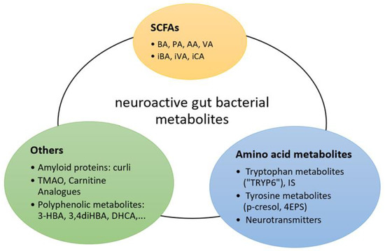 Nutrients | Free Full-Text | The Role of Gut Bacterial Metabolites in Brain  Development, Aging and Disease