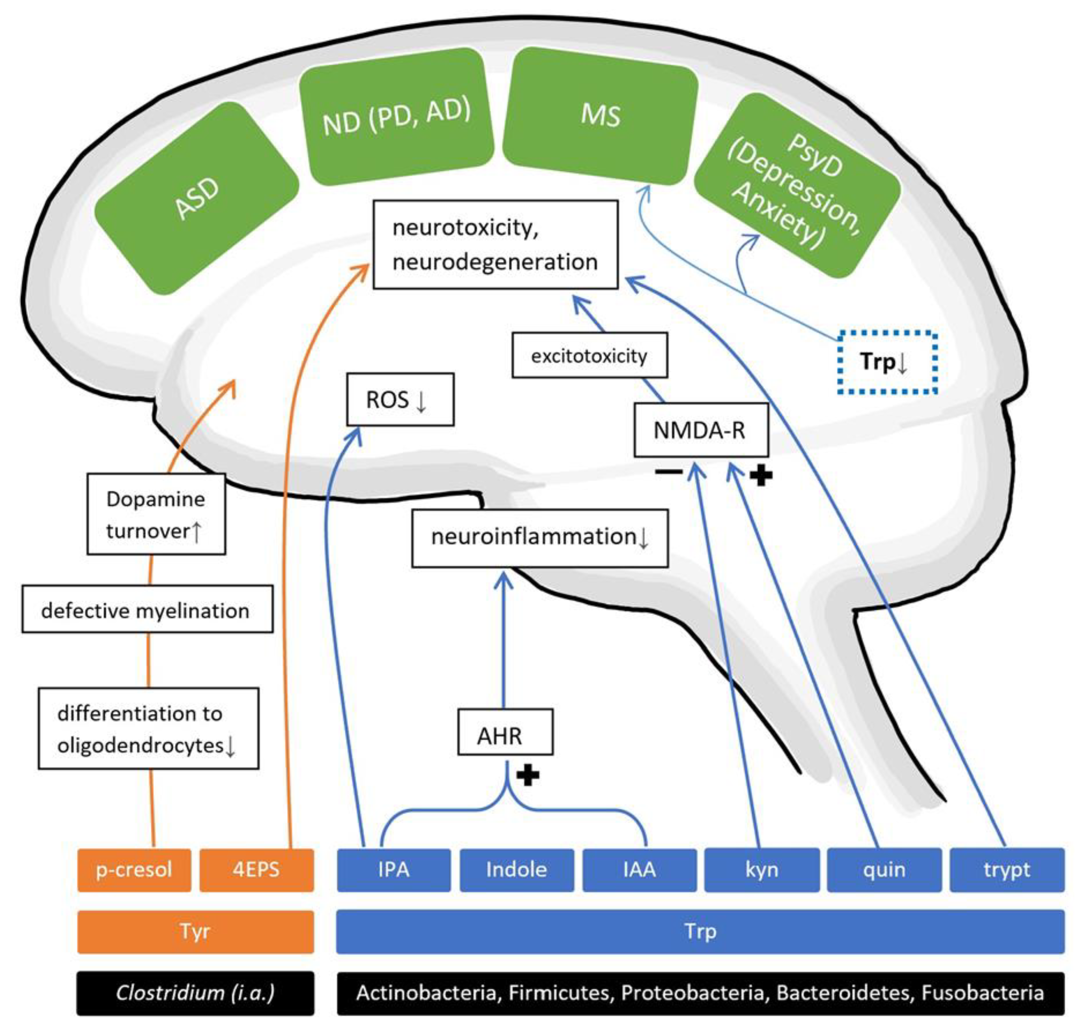 Nutrients 13 00732 g003