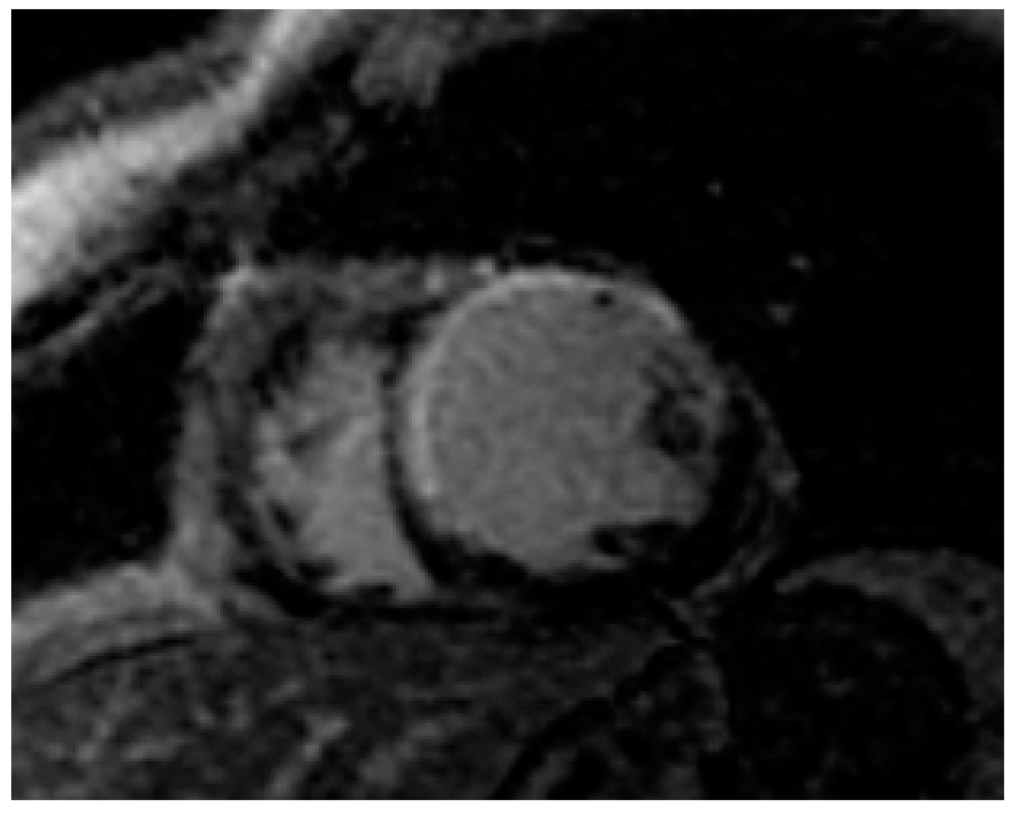 Nutrients 13 00744 g002 Nutrients 13 00744 g002