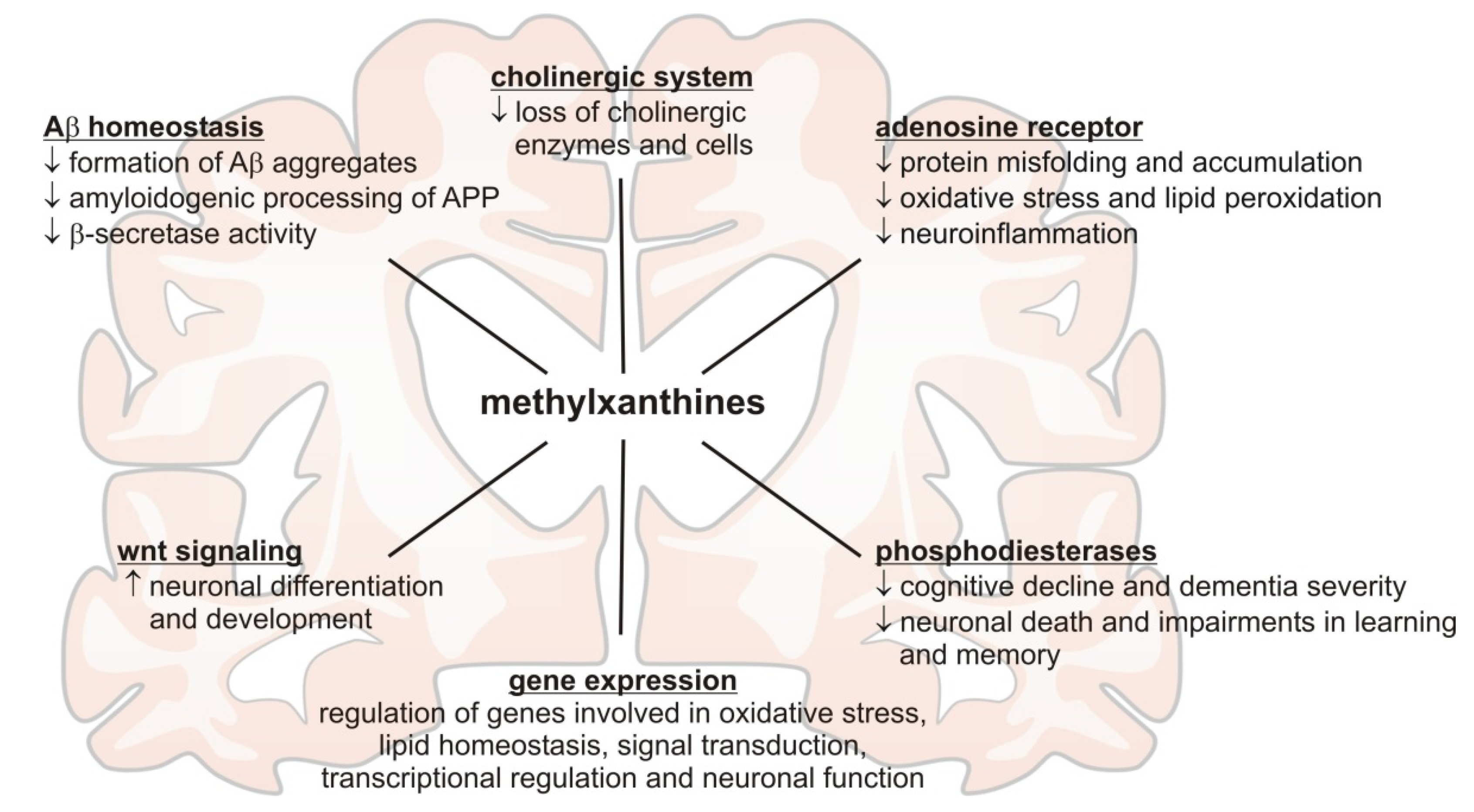 Nutrients 13 00803 g001 Nutrients 13 00803 g001