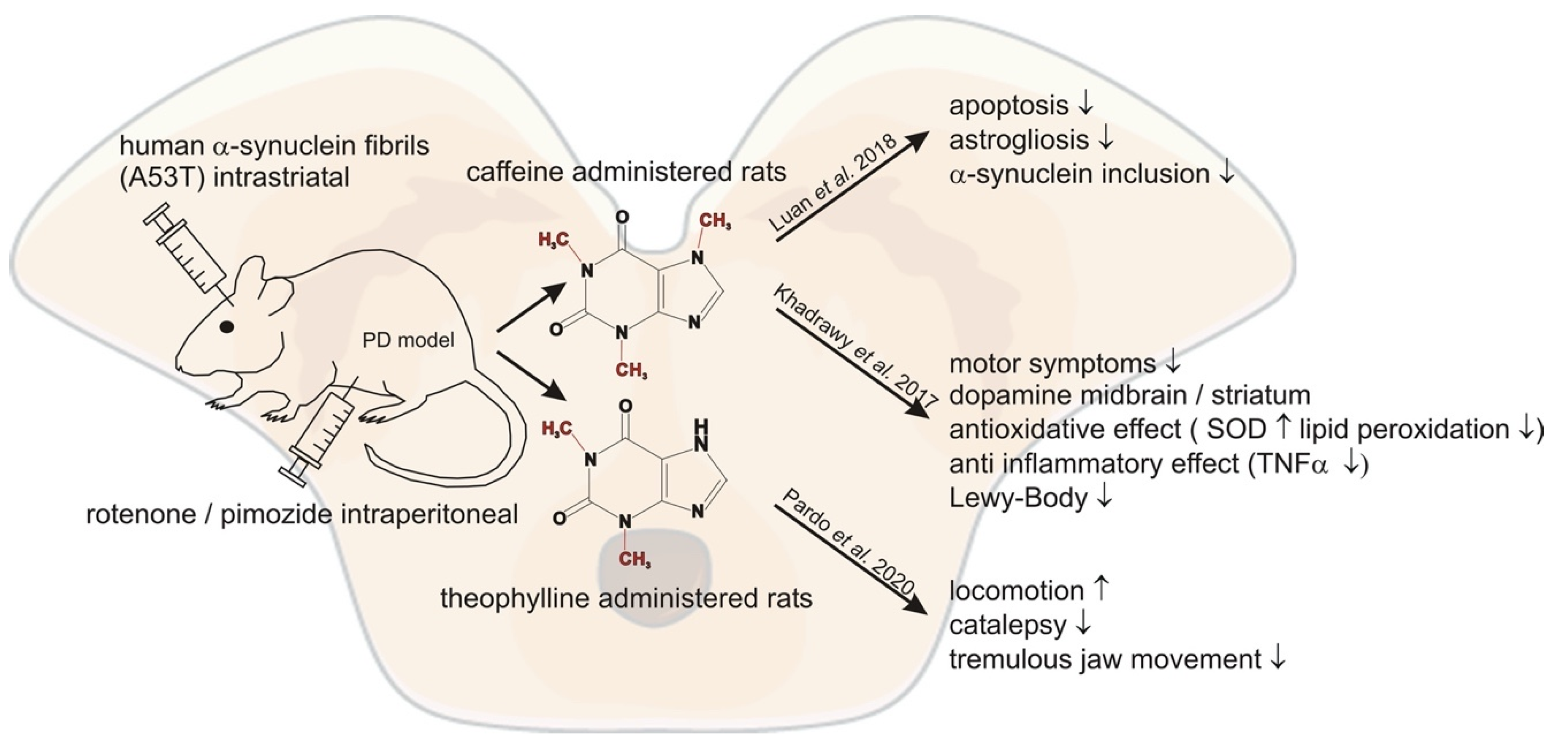 Nutrients 13 00803 g002 Nutrients 13 00803 g002