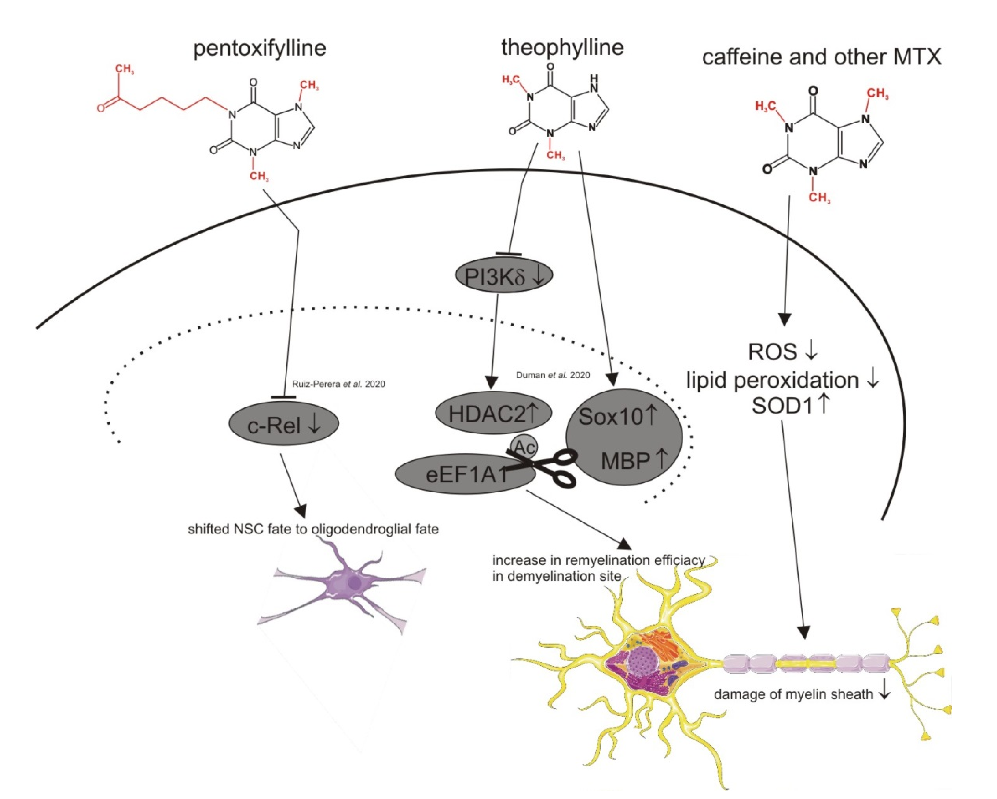 Nutrients 13 00803 g003 Nutrients 13 00803 g003