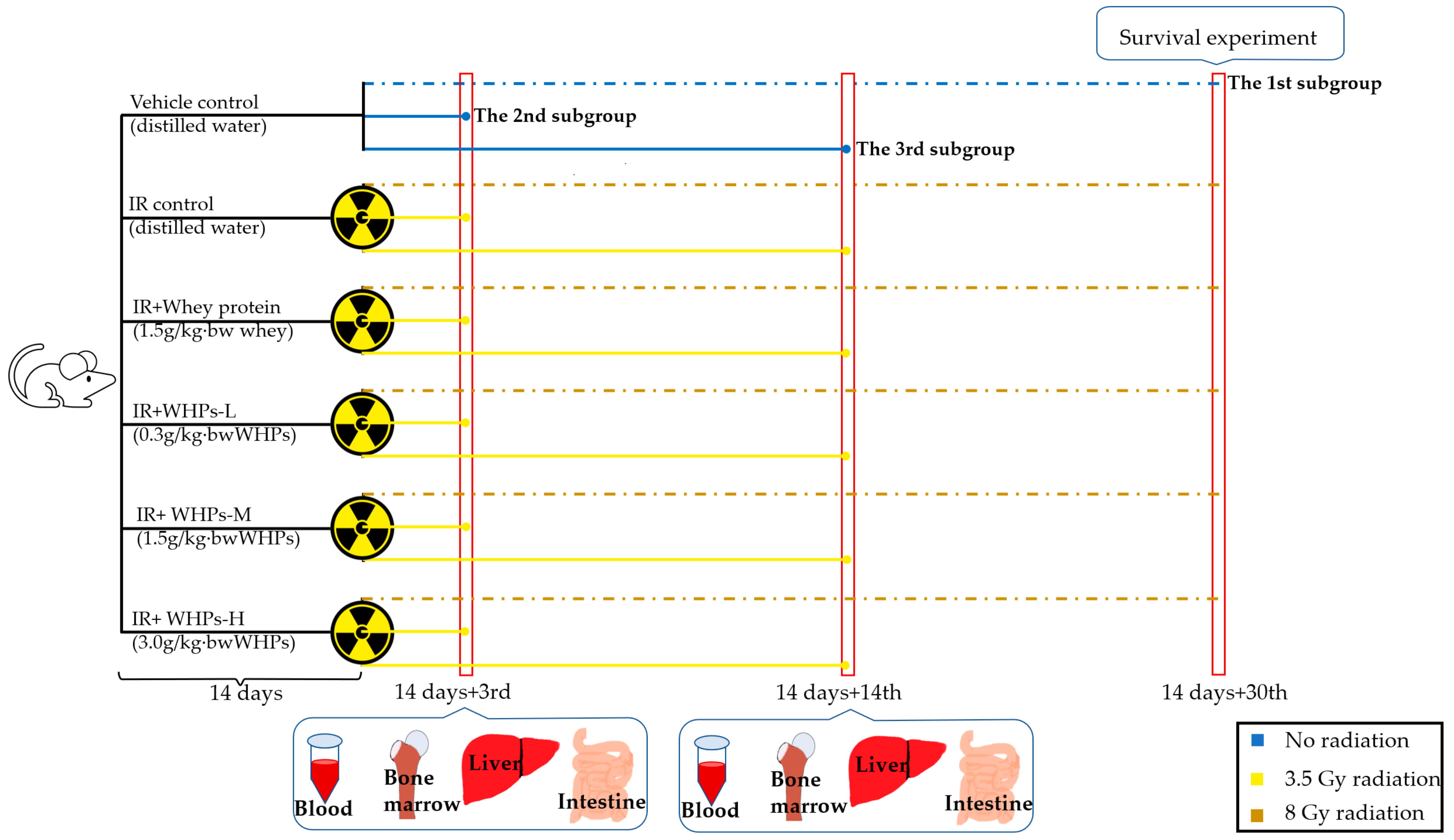 Nutrients 13 00816 g001 Nutrients 13 00816 g001