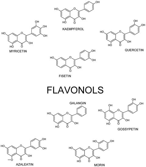Nutrients | Free Full-Text | Anticancer Potential of Selected Flavonols:  Fisetin, Kaempferol, and Quercetin on Head and Neck Cancers