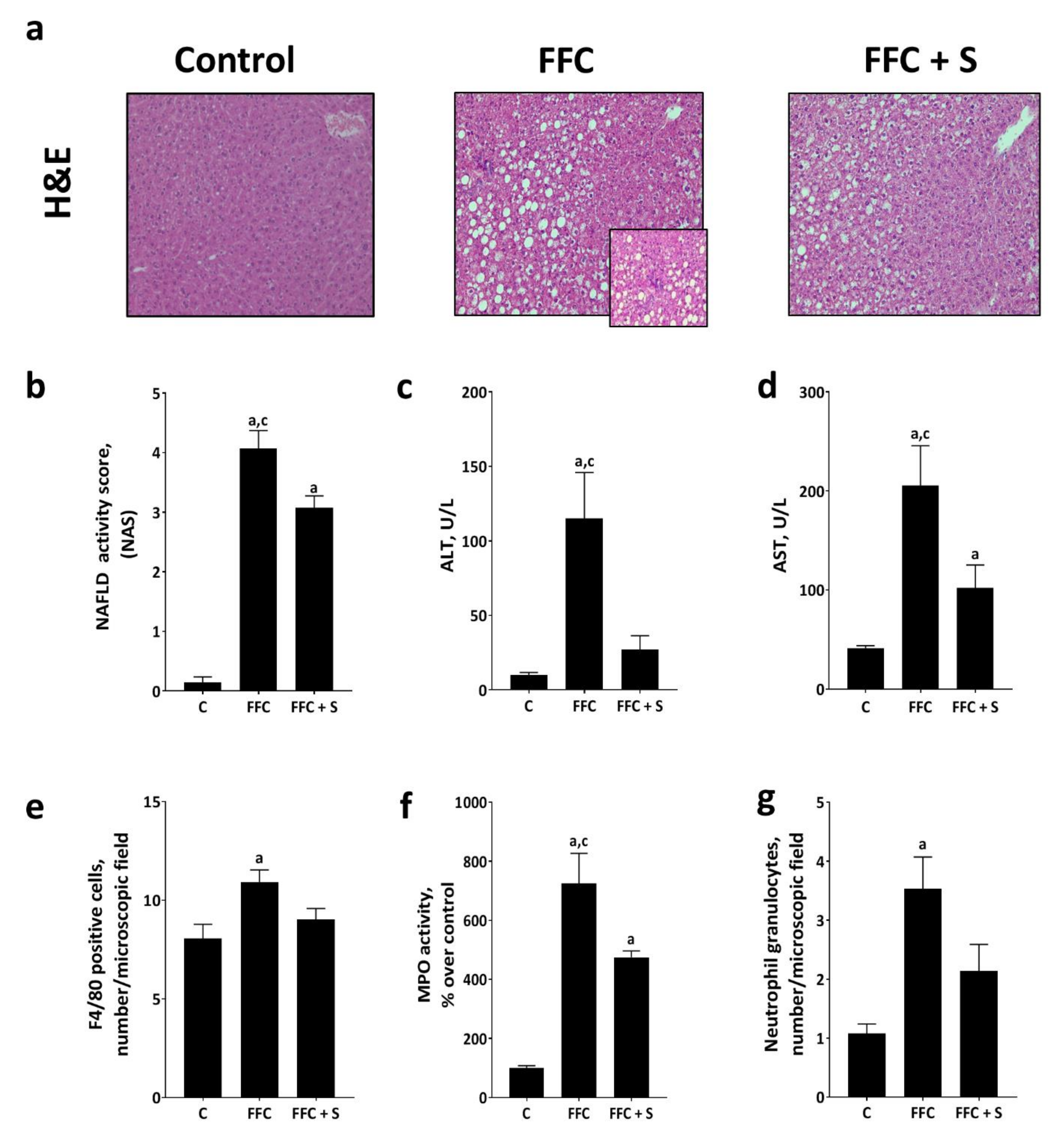 Nutrients 13 00959 g001