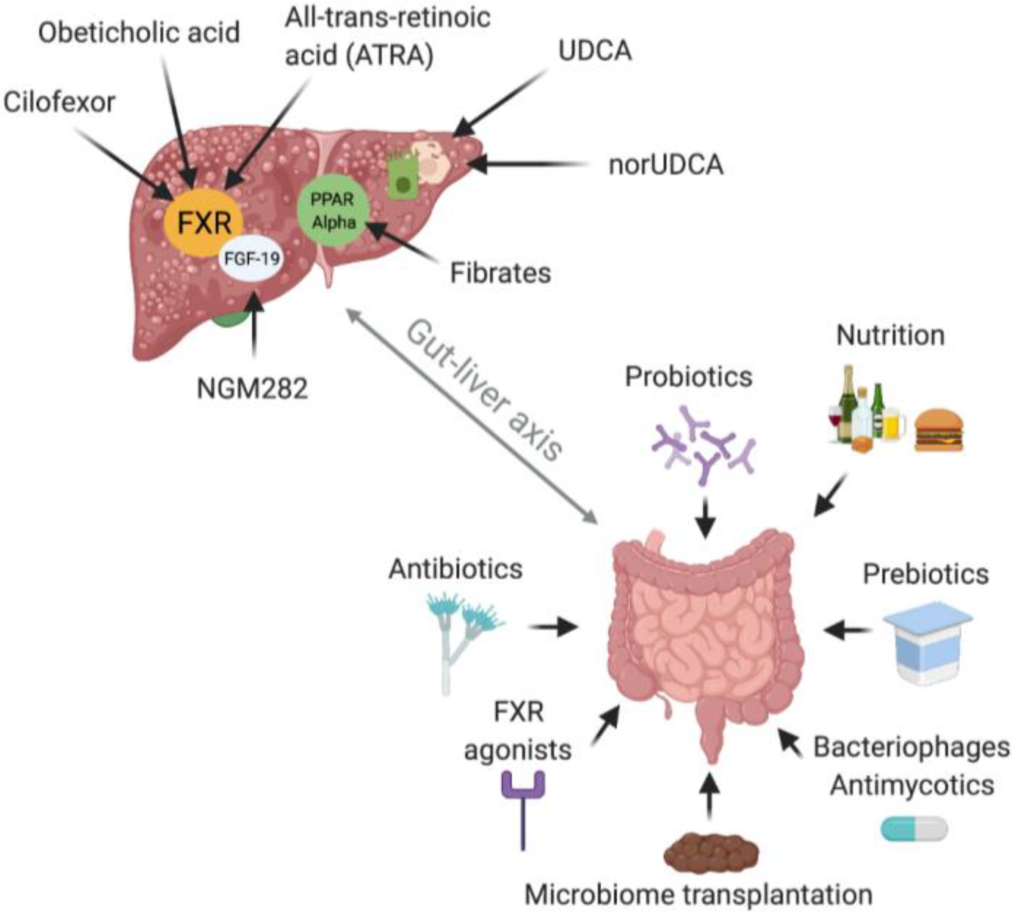 Nutrients 13 01018 g002 Nutrients 13 01018 g002