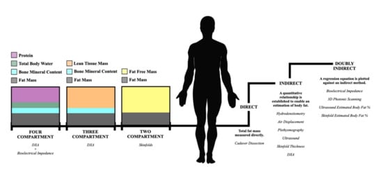 Body composition methods: validity and reliability