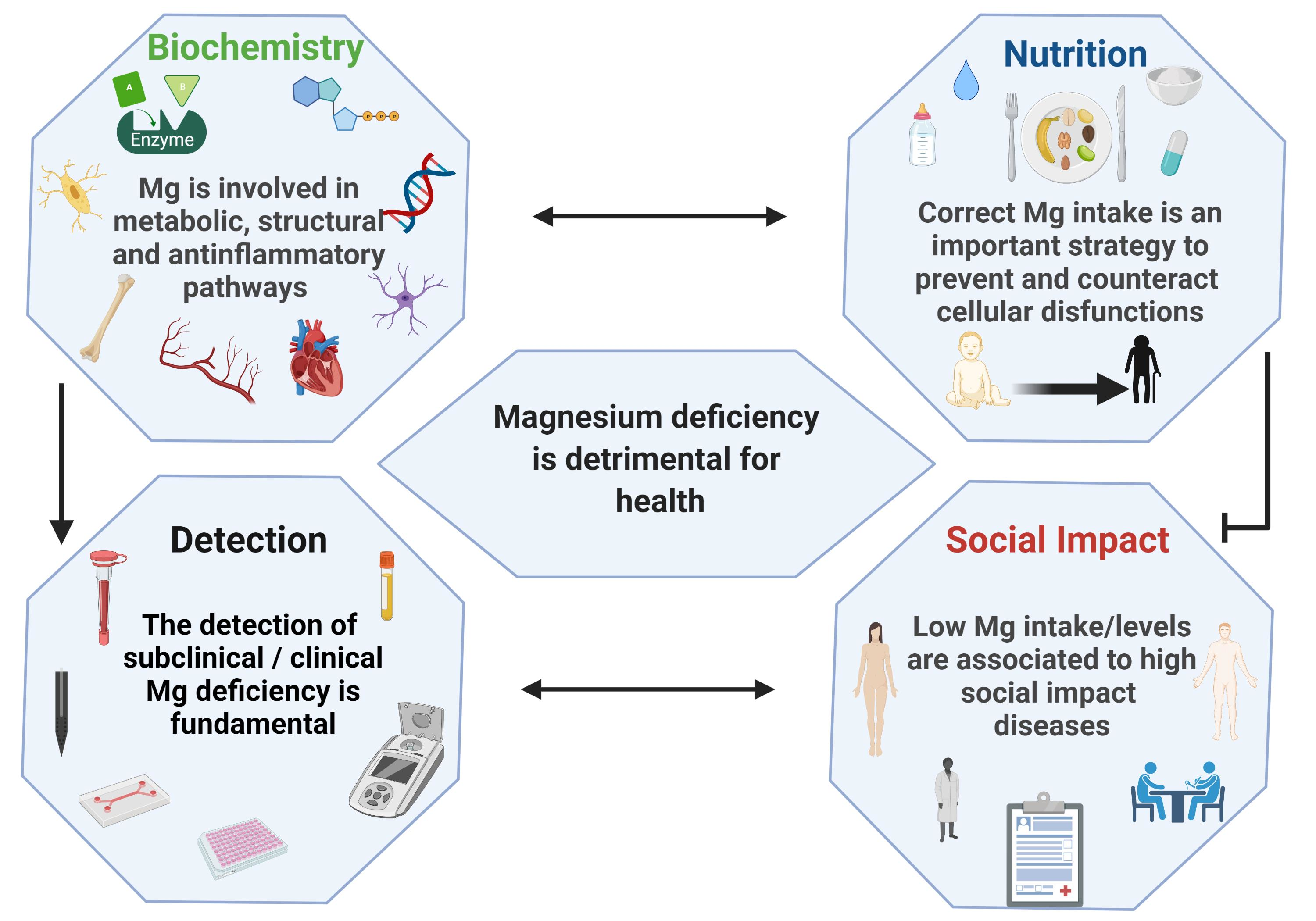 Nutrients | Free Full-Text | Magnesium: Biochemistry, Nutrition, Detection,  and Social Impact of Diseases Linked to Its Deficiency