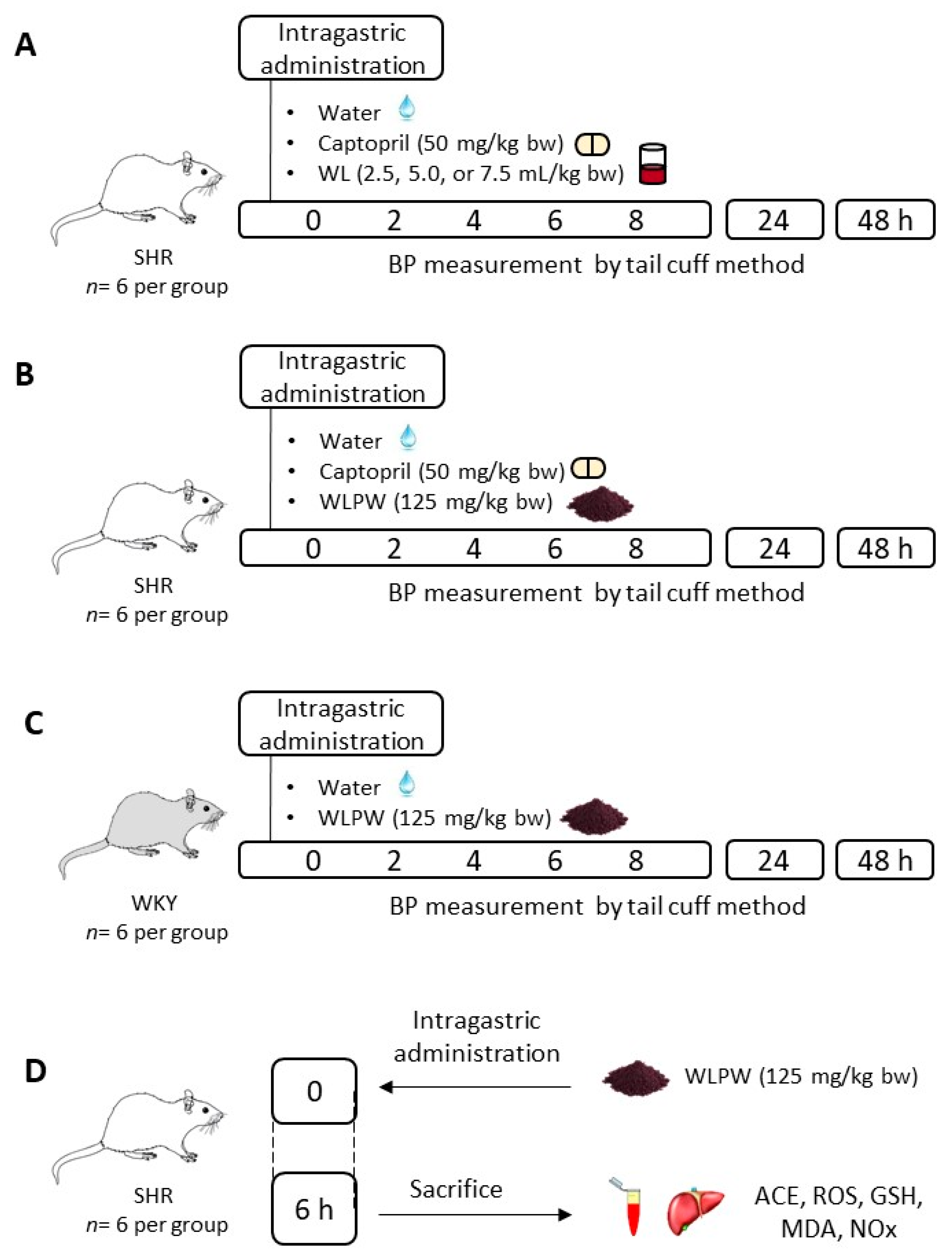 Nutrients 13 01142 g001