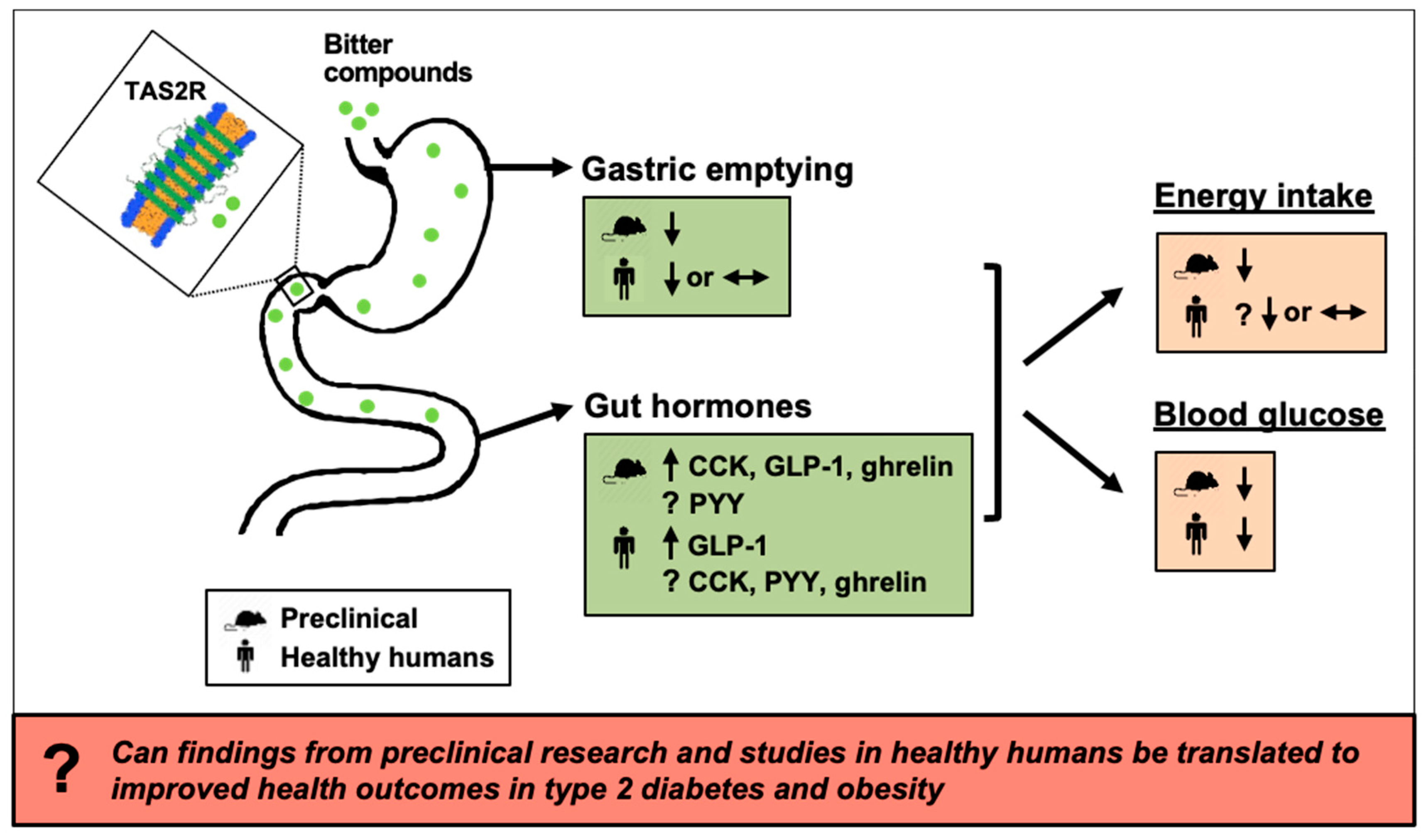 Nutrients 13 01317 g002