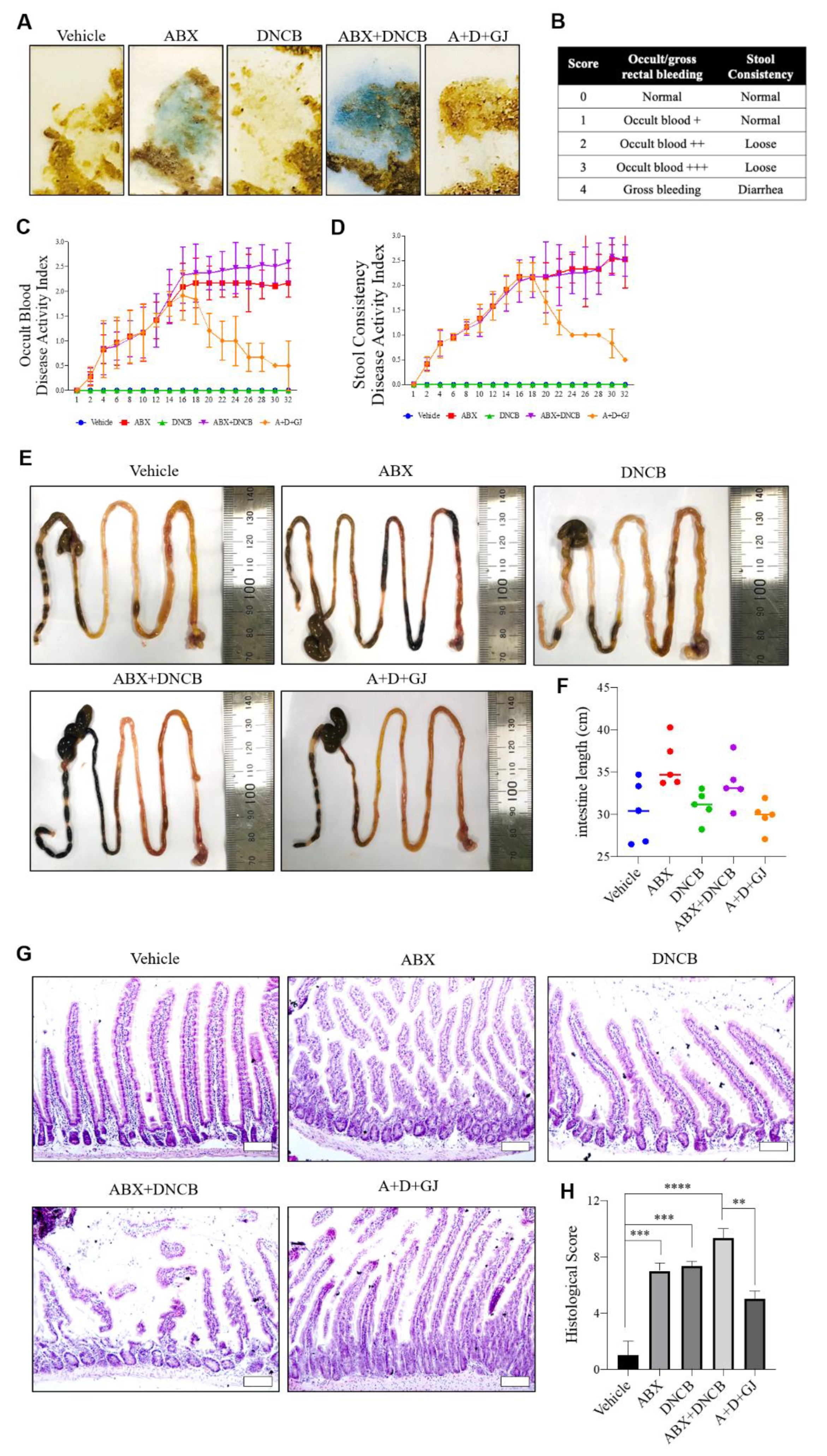 Nutrients 13 01349 g005 Nutrients 13 01349 g005
