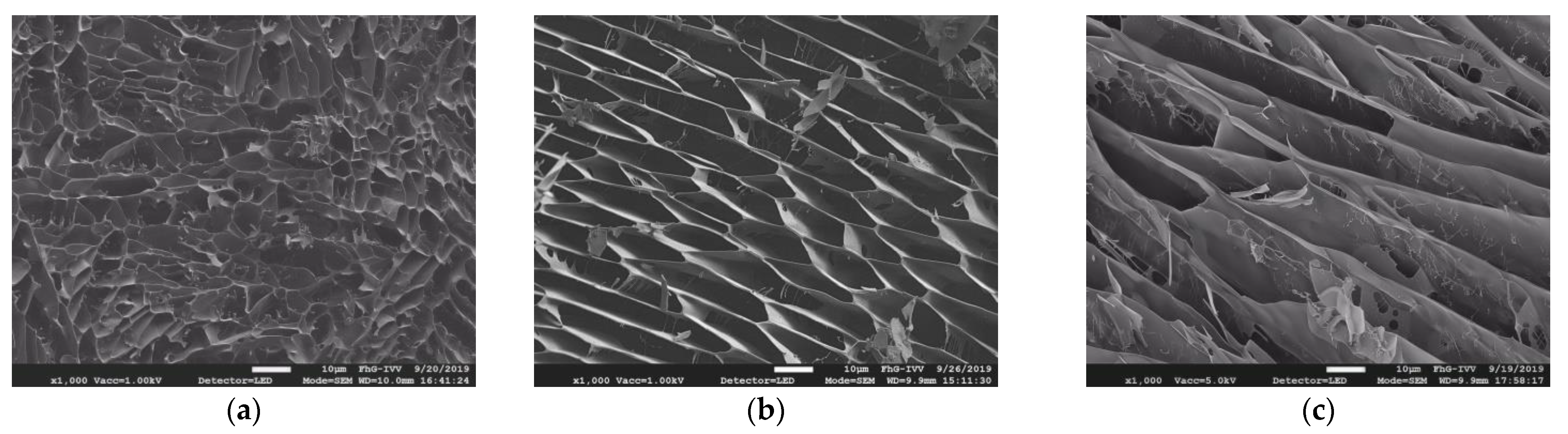 Nutrients 13 01398 g007