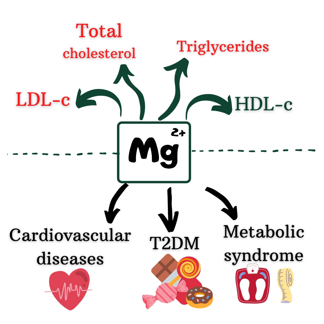 Nutrients | Free Full-Text | Crosstalk of Magnesium and Serum Lipids in  Dyslipidemia and Associated Disorders: A Systematic Review | HTML