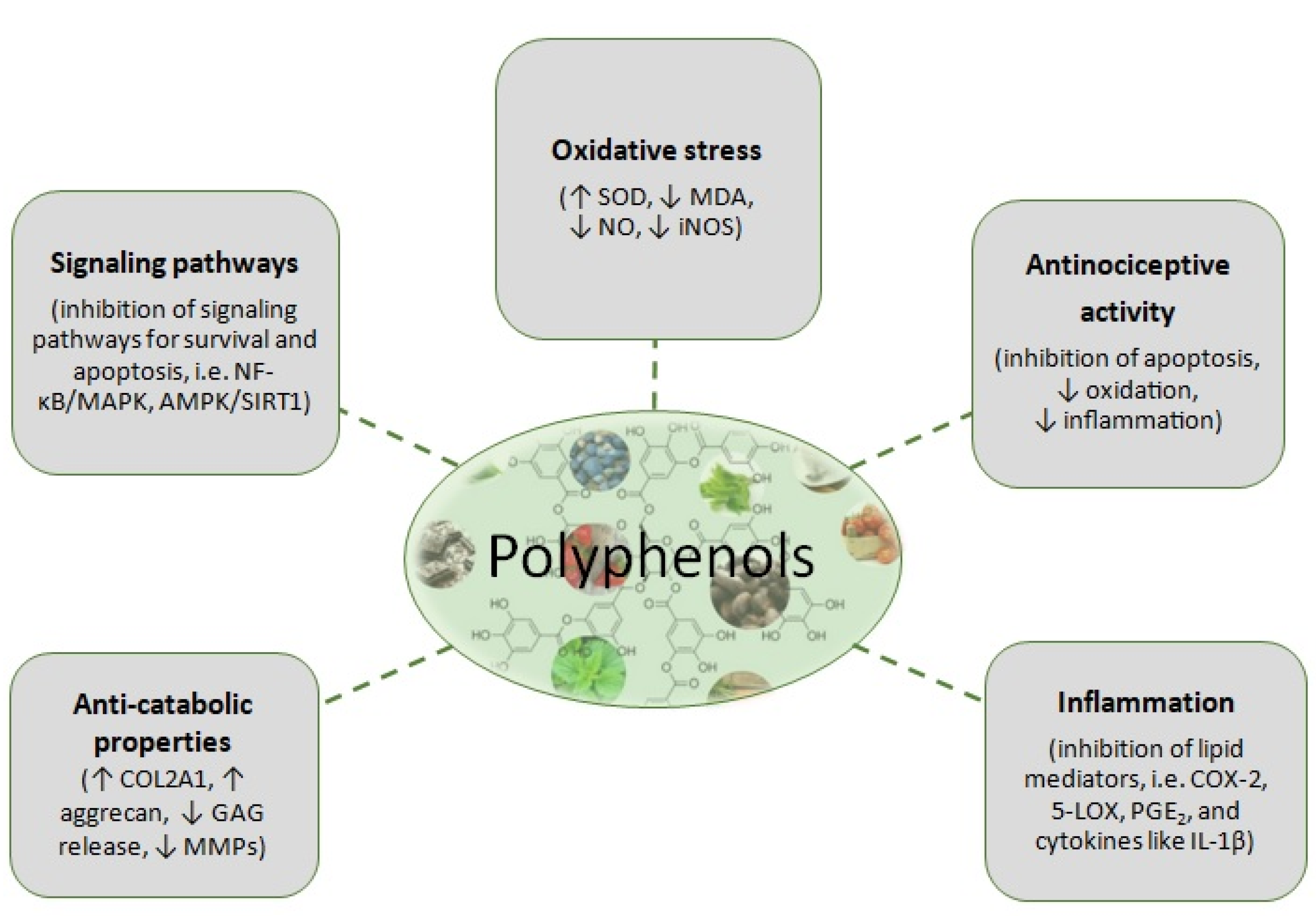 Nutrients 13 01420 g002 Nutrients 13 01420 g002