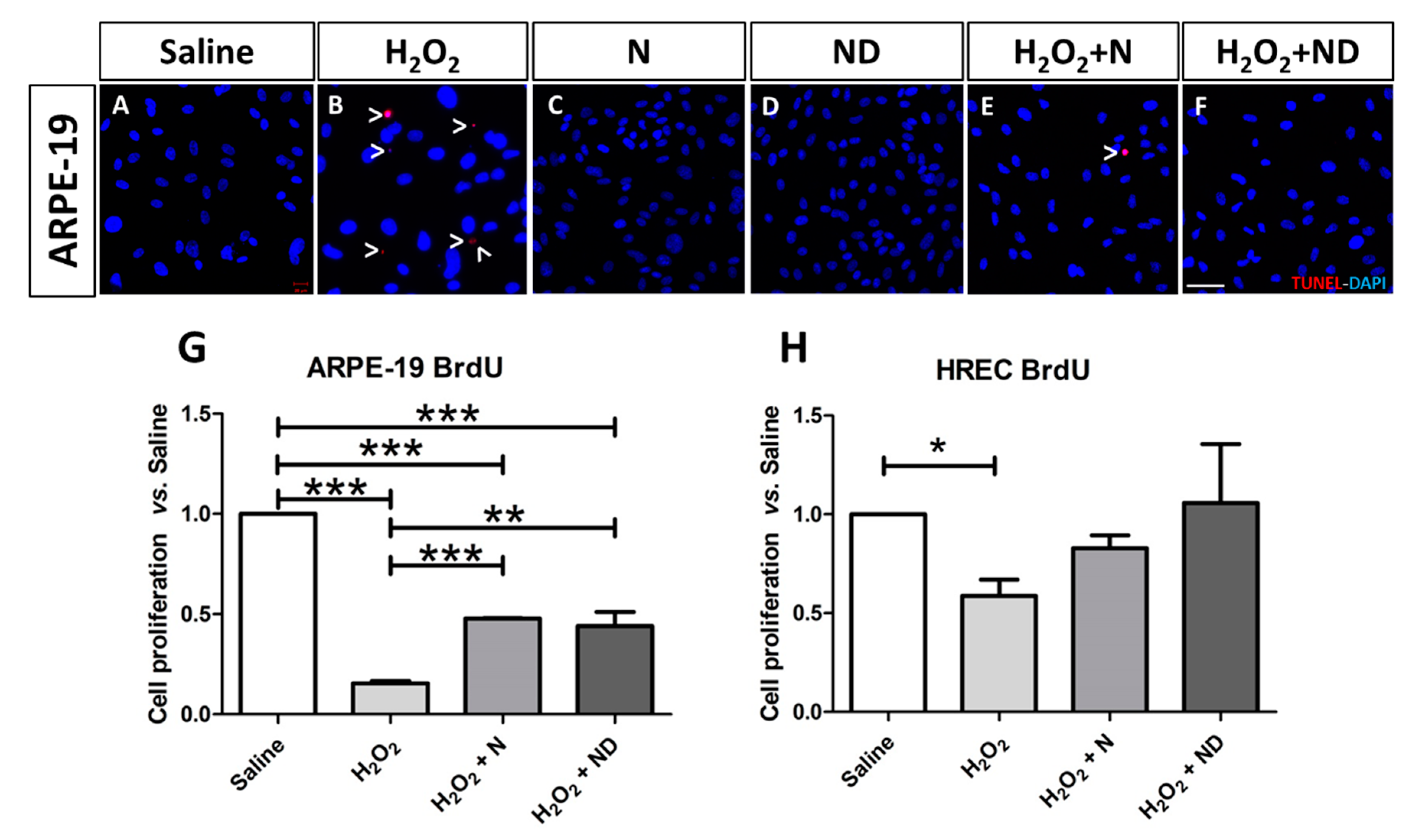 Nutrients 13 01423 g002