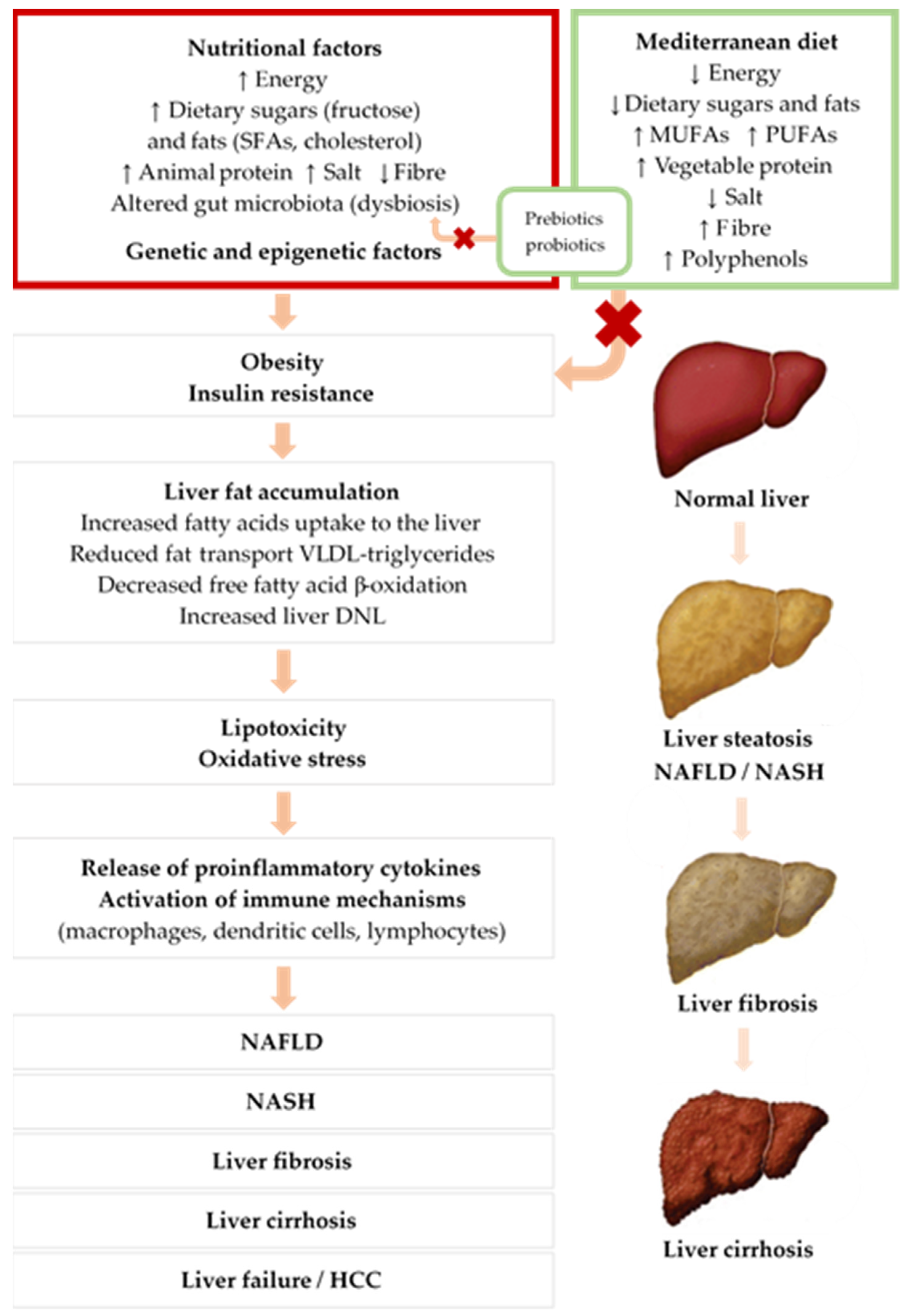 Nutrients | Free Full-Text | Overview of Non-Alcoholic Fatty Liver Disease  (NAFLD) and the Role of Sugary Food Consumption and Other Dietary  Components in Its Development