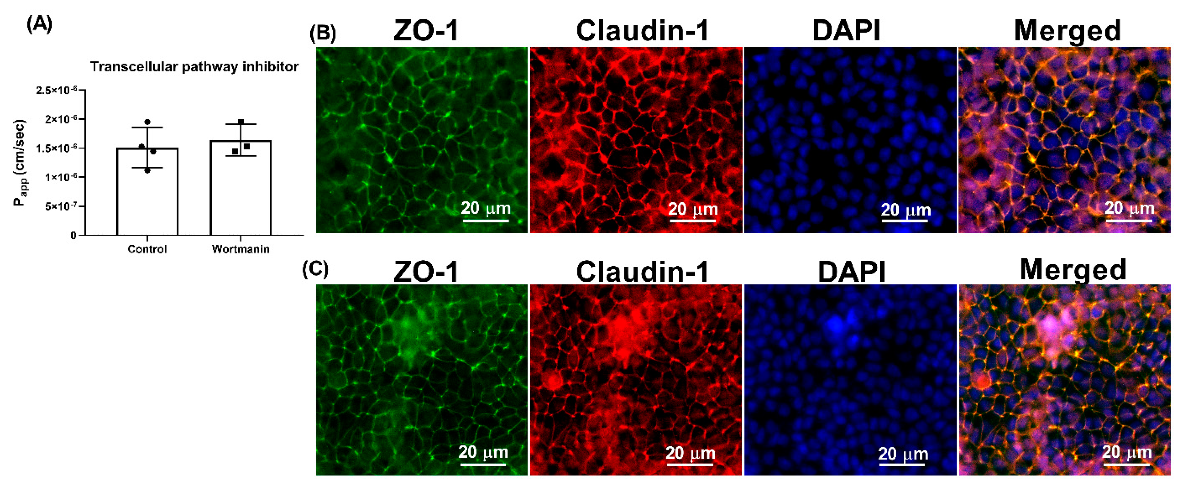 Nutrients 13 01448 g004 Nutrients 13 01448 g004
