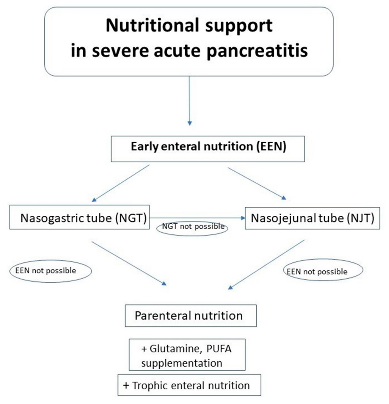 Nutrients | Free Full-Text | Nutritional Support in Patients with Severe Acute  Pancreatitis-Current Standards