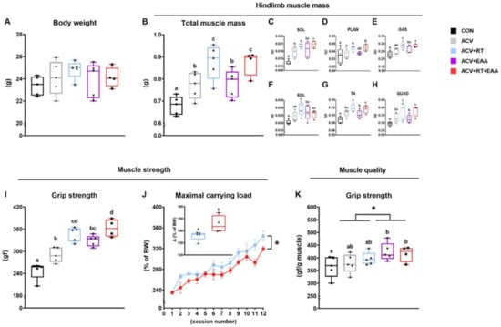 Nutrients Free Full Text Myostatin Inhibition Induced Increase In Muscle Mass And Strength Was Amplified By Resistance Exercise Training And Dietary Essential Amino Acids Improved Muscle Quality In Mice Html