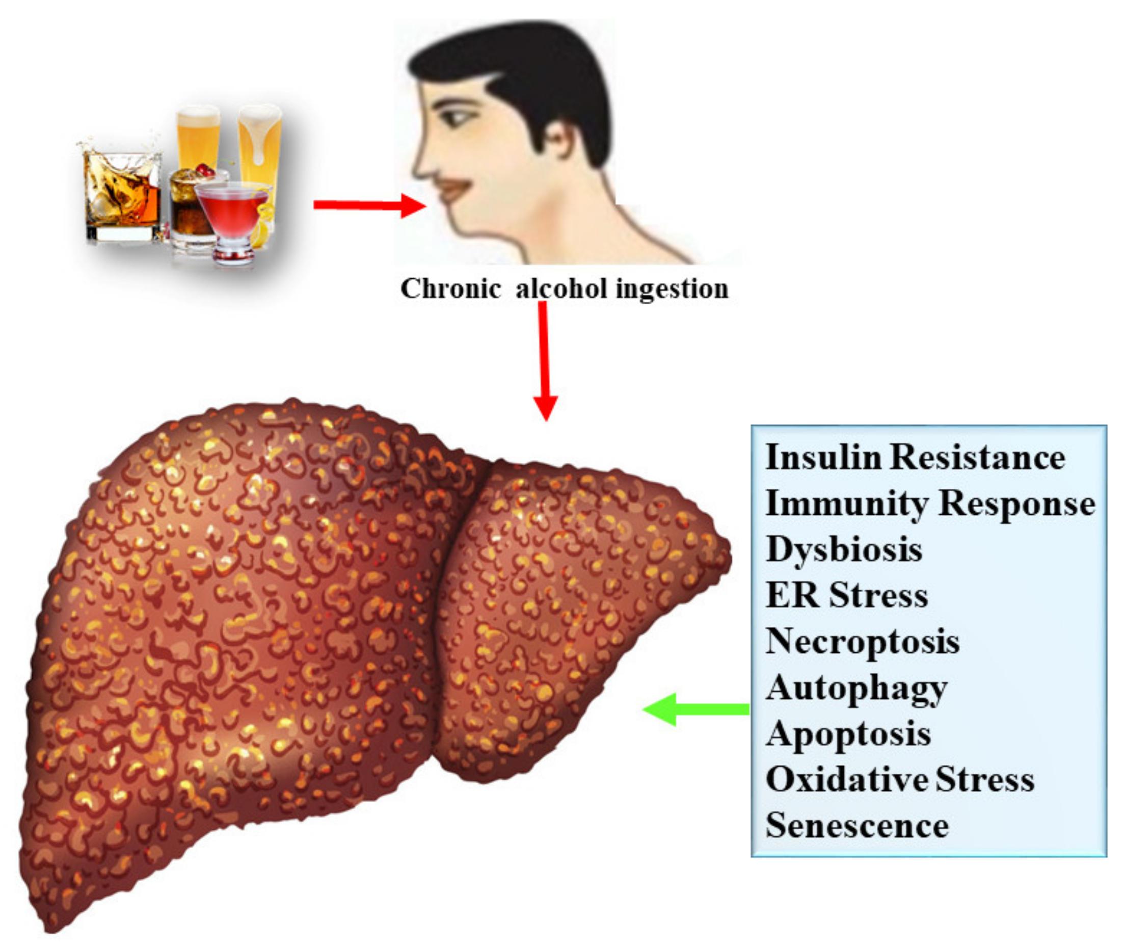 Nutrients 13 01612 g002