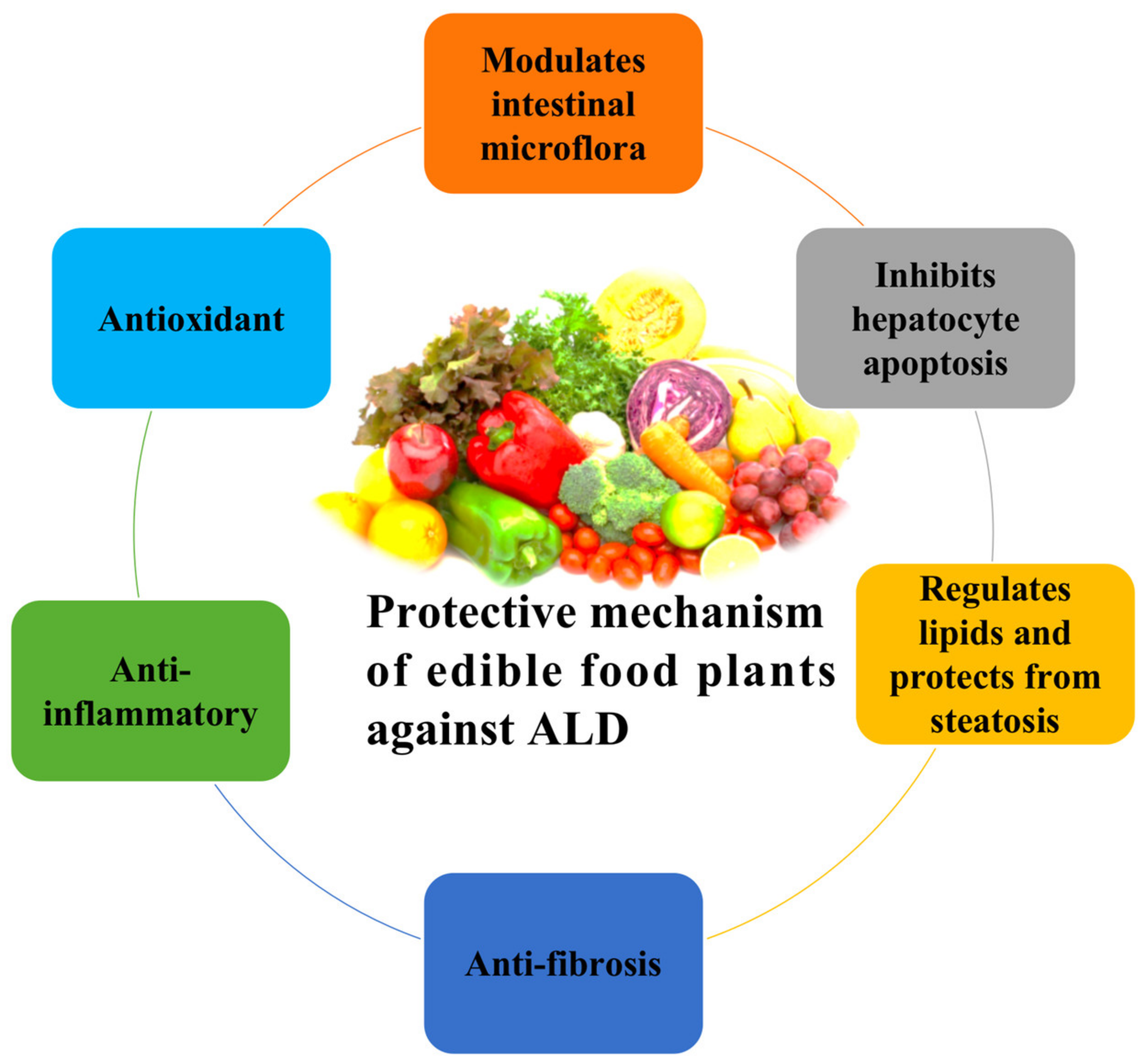 Nutrients 13 01612 g004