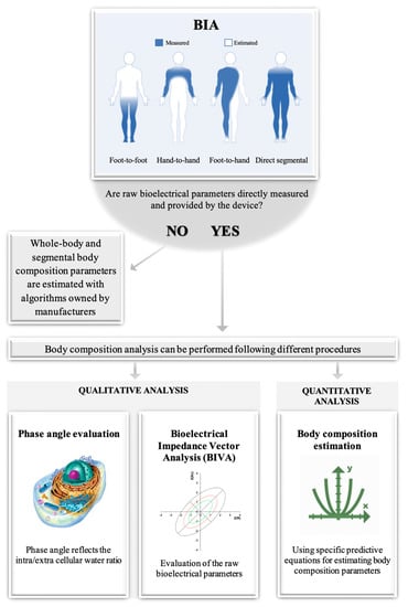 https://www.mdpi.com/nutrients/nutrients-13-01620/article_deploy/html/images/nutrients-13-01620-g003-550.jpg