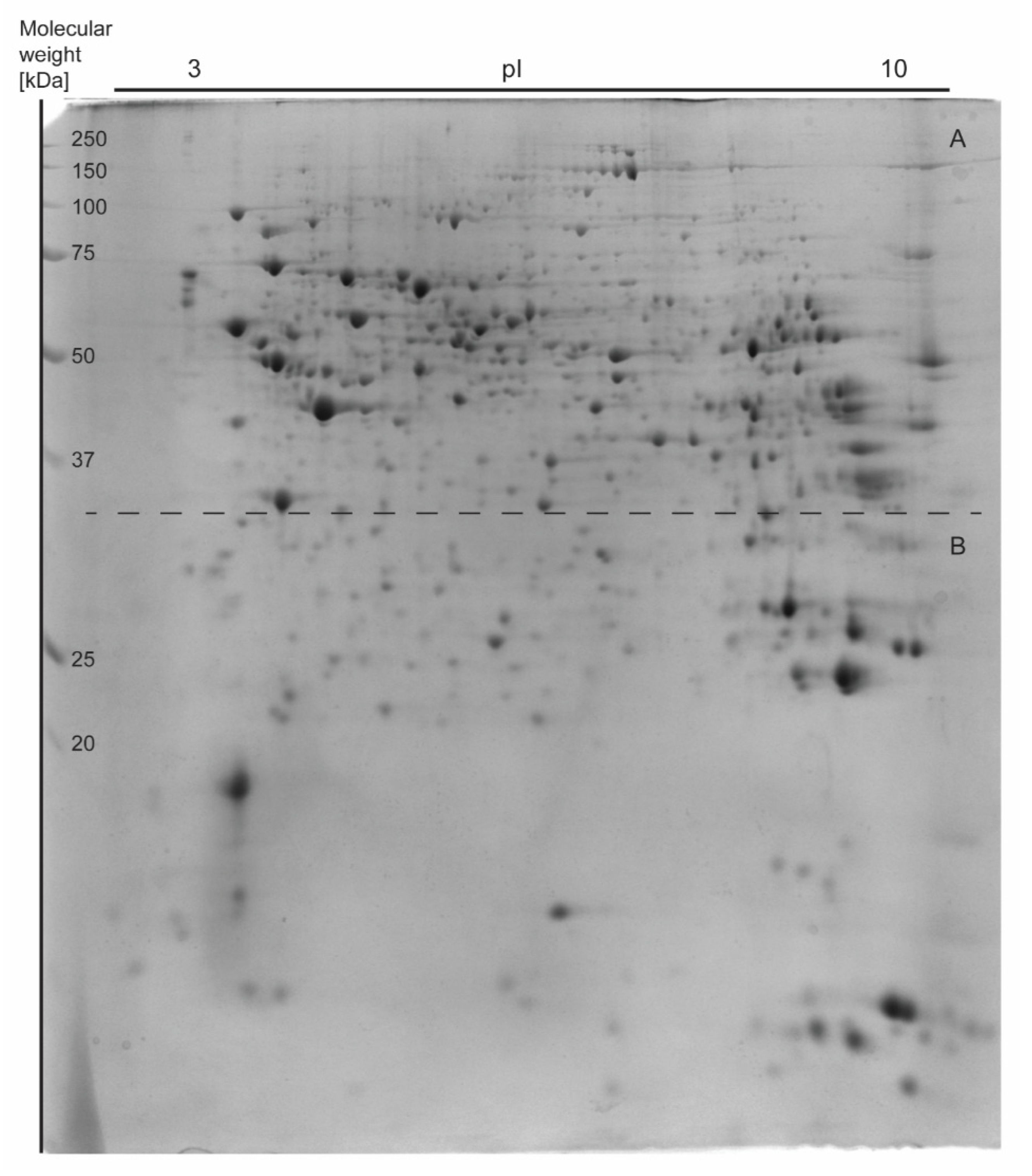 Nutrients 13 01678 g003