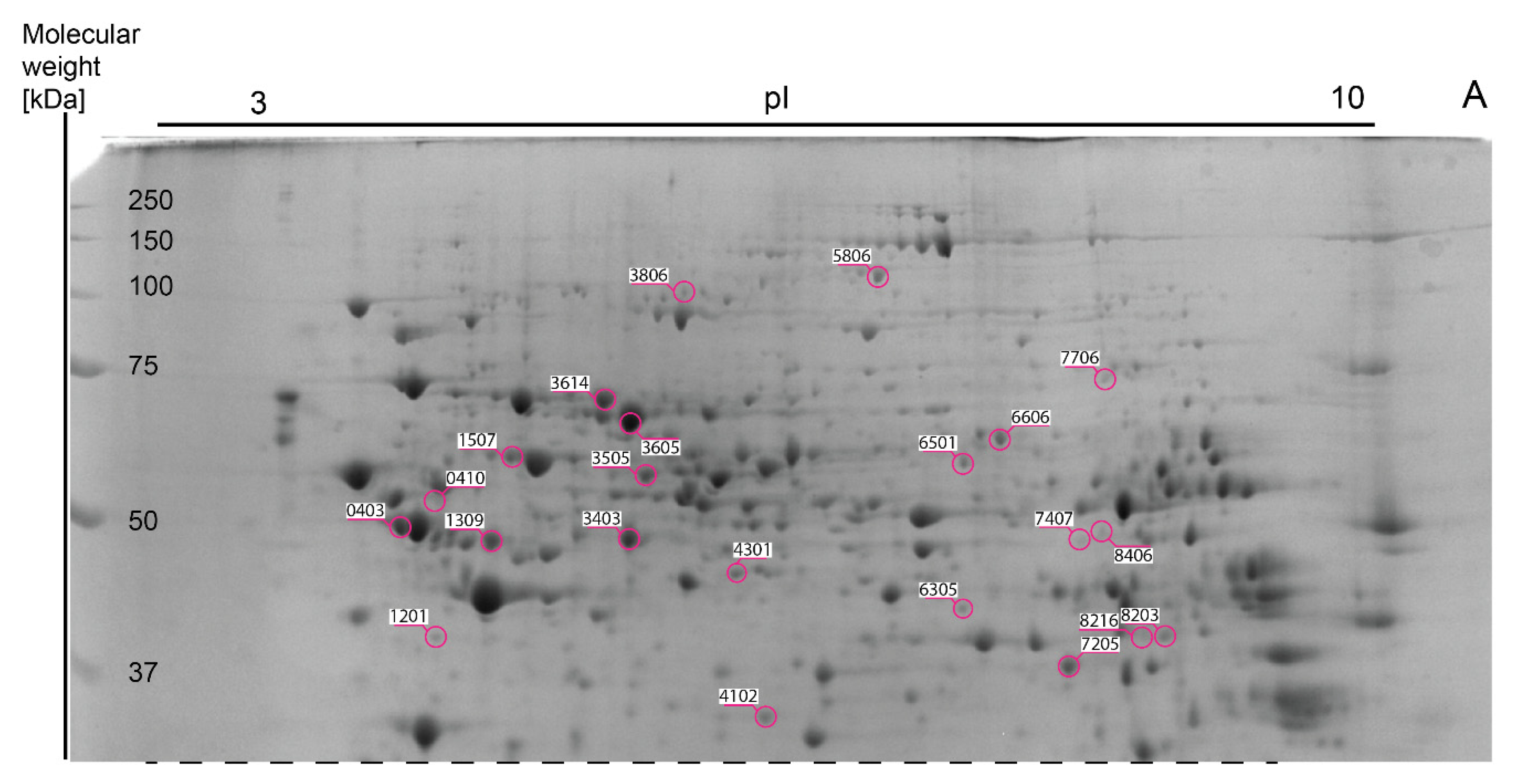 Nutrients 13 01678 g004