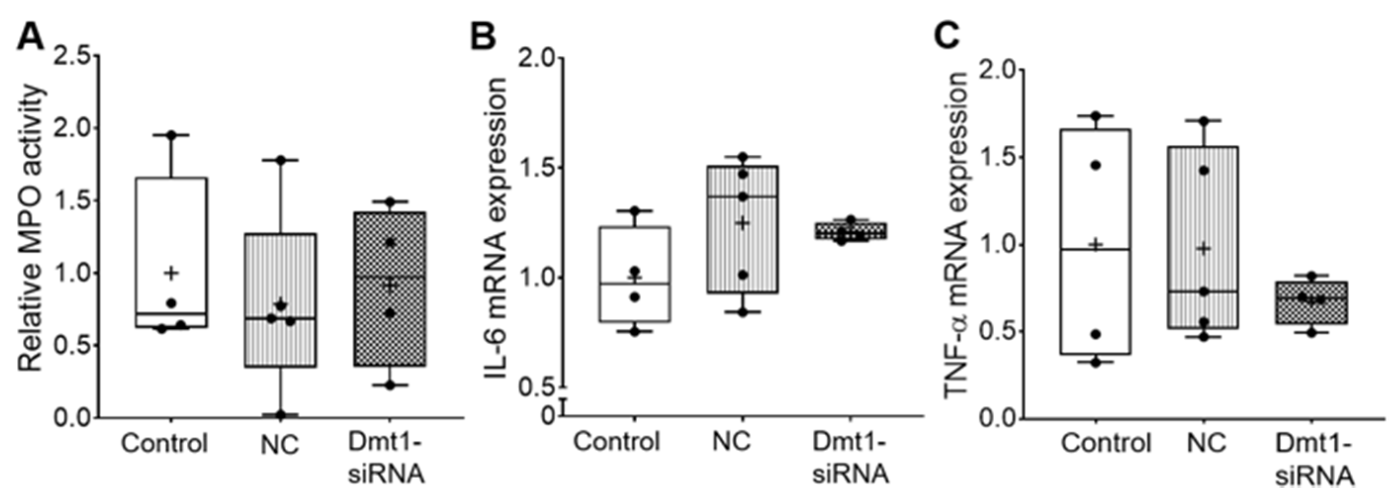 Nutrients 13 01686 g004 Nutrients 13 01686 g004