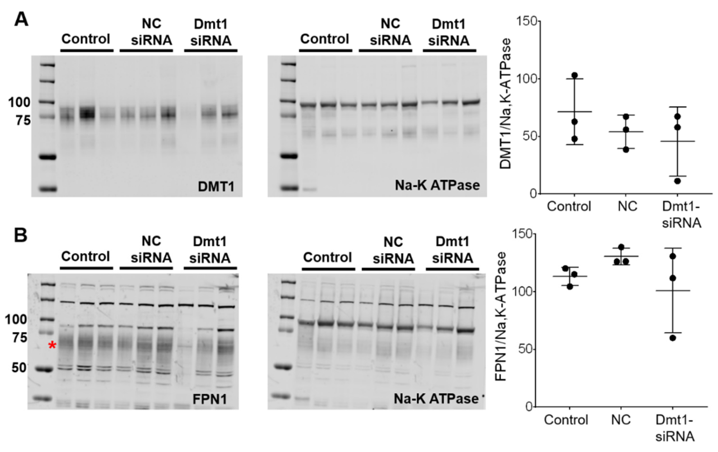 Nutrients 13 01686 g006 Nutrients 13 01686 g006