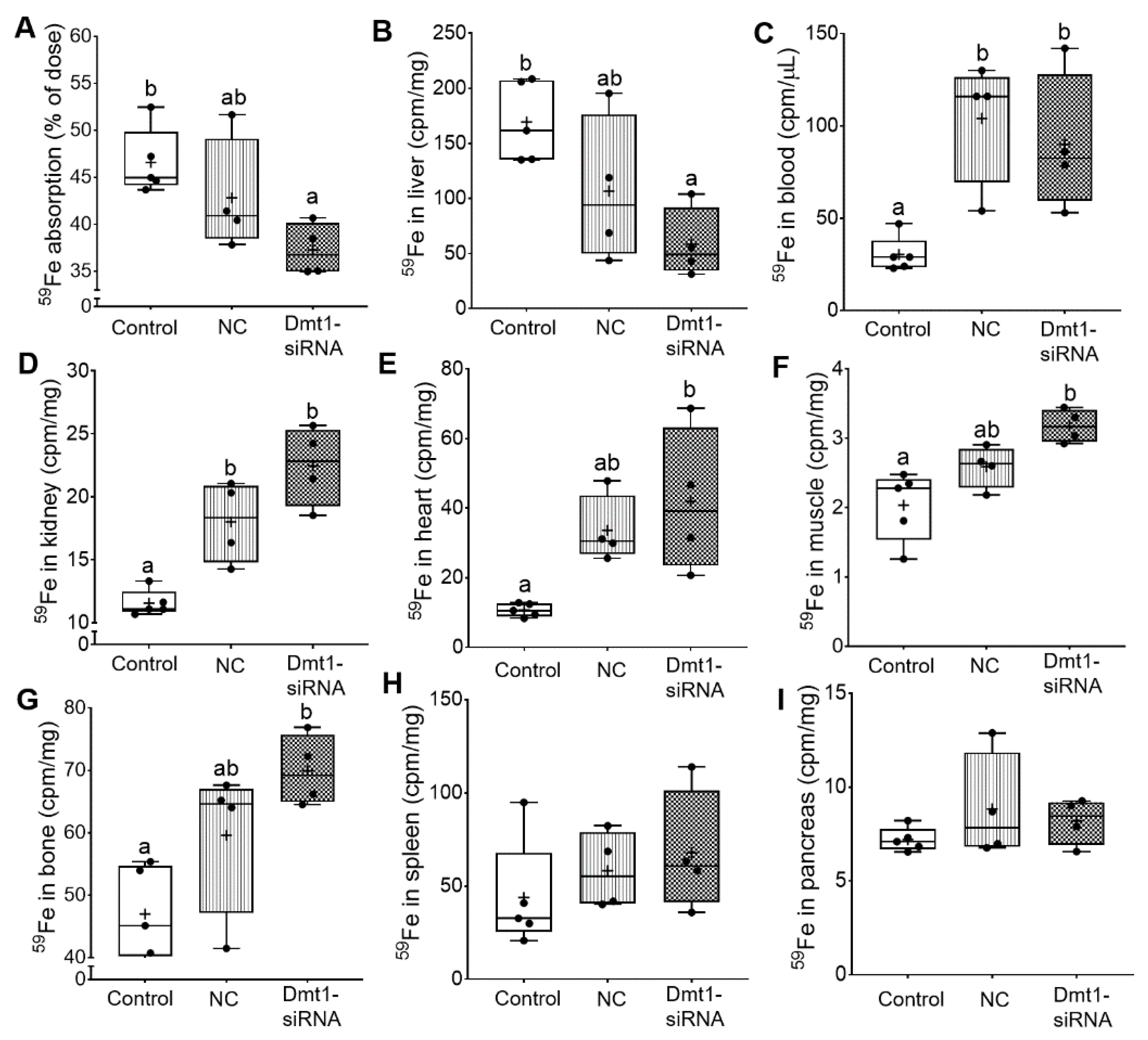 Nutrients 13 01686 g009 Nutrients 13 01686 g009