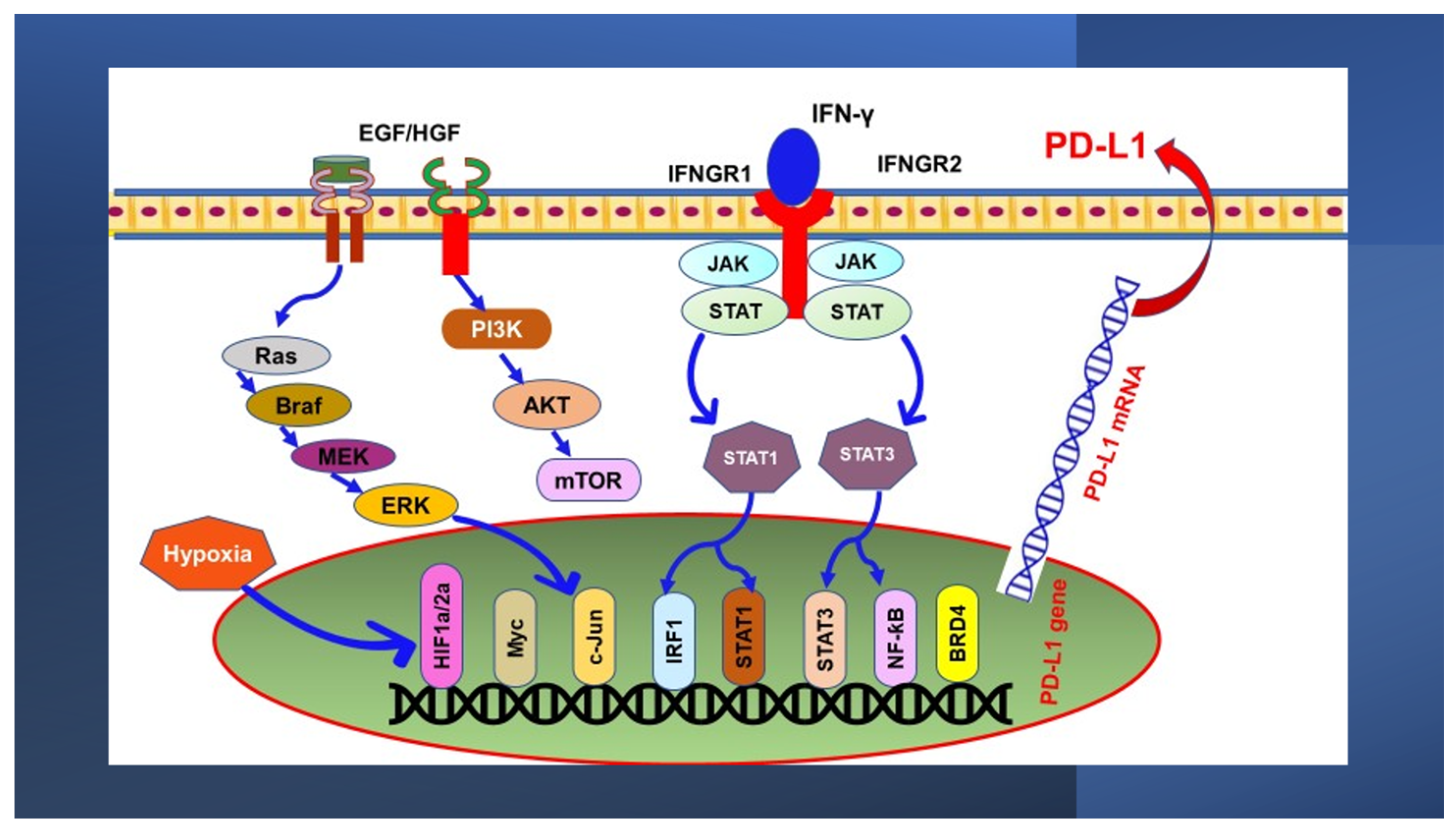 Nutrients 13 01718 g001