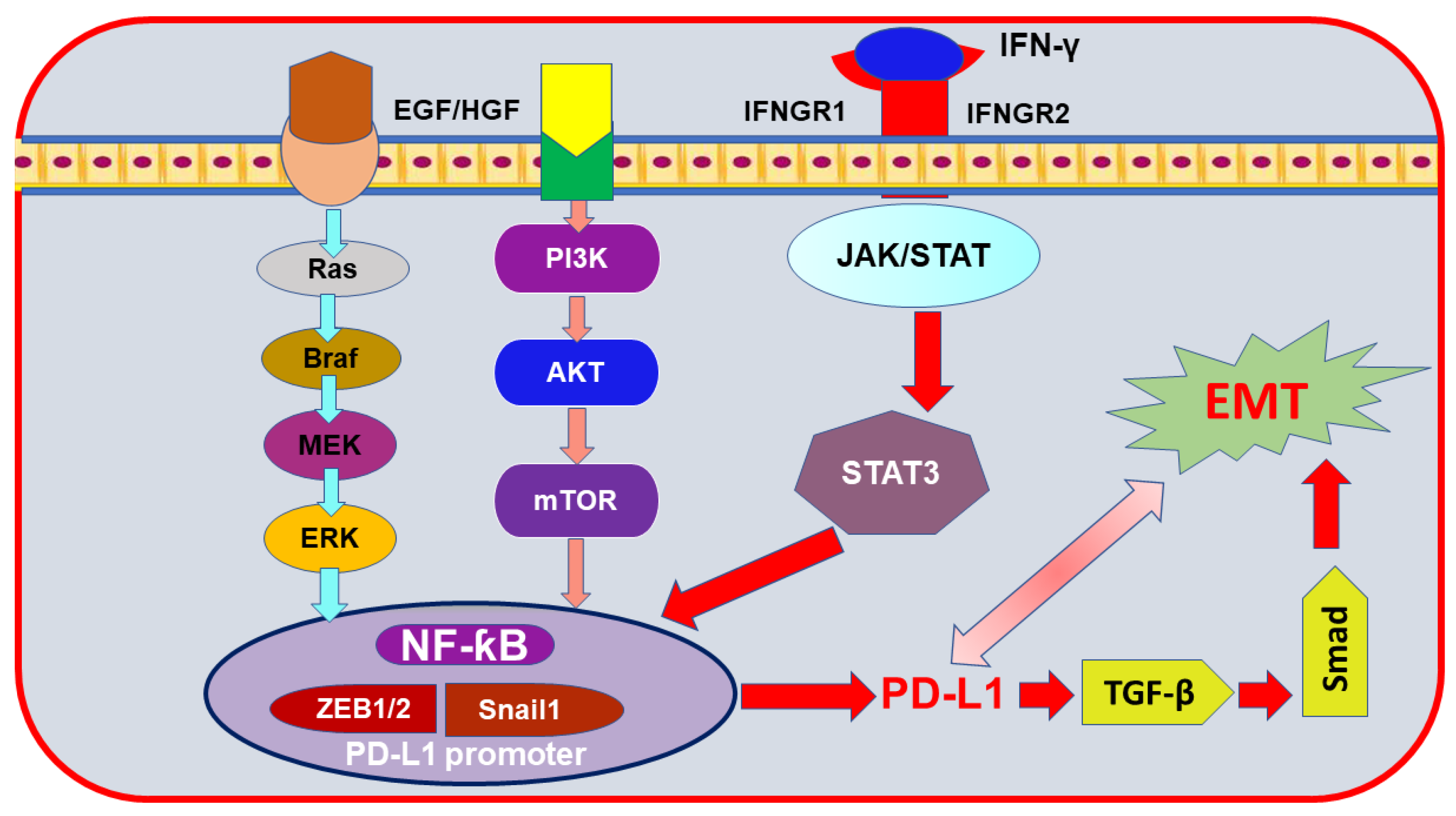 Nutrients 13 01718 g002