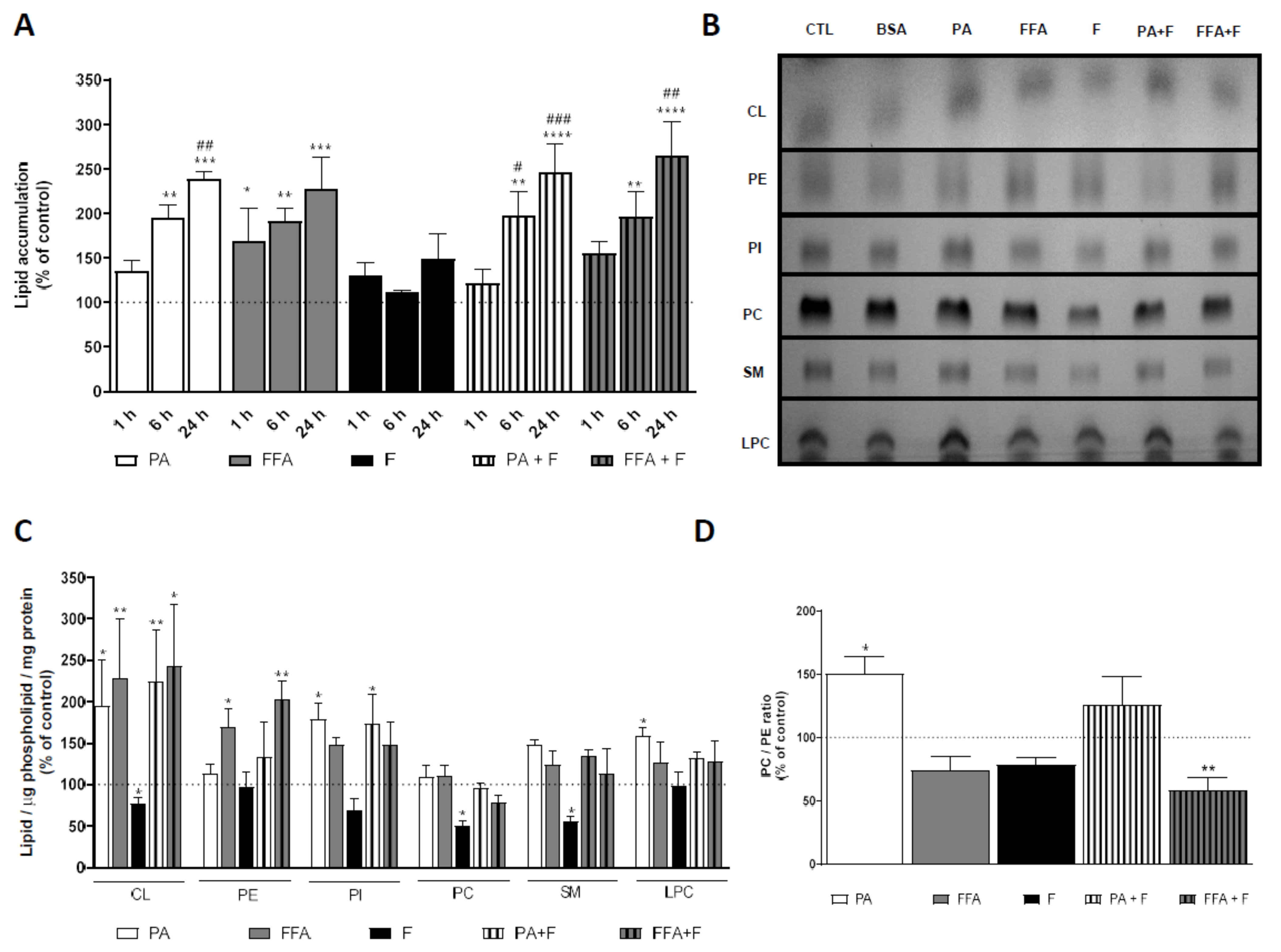 Examination of RVA-induced necroptosis and apoptosis by confocal