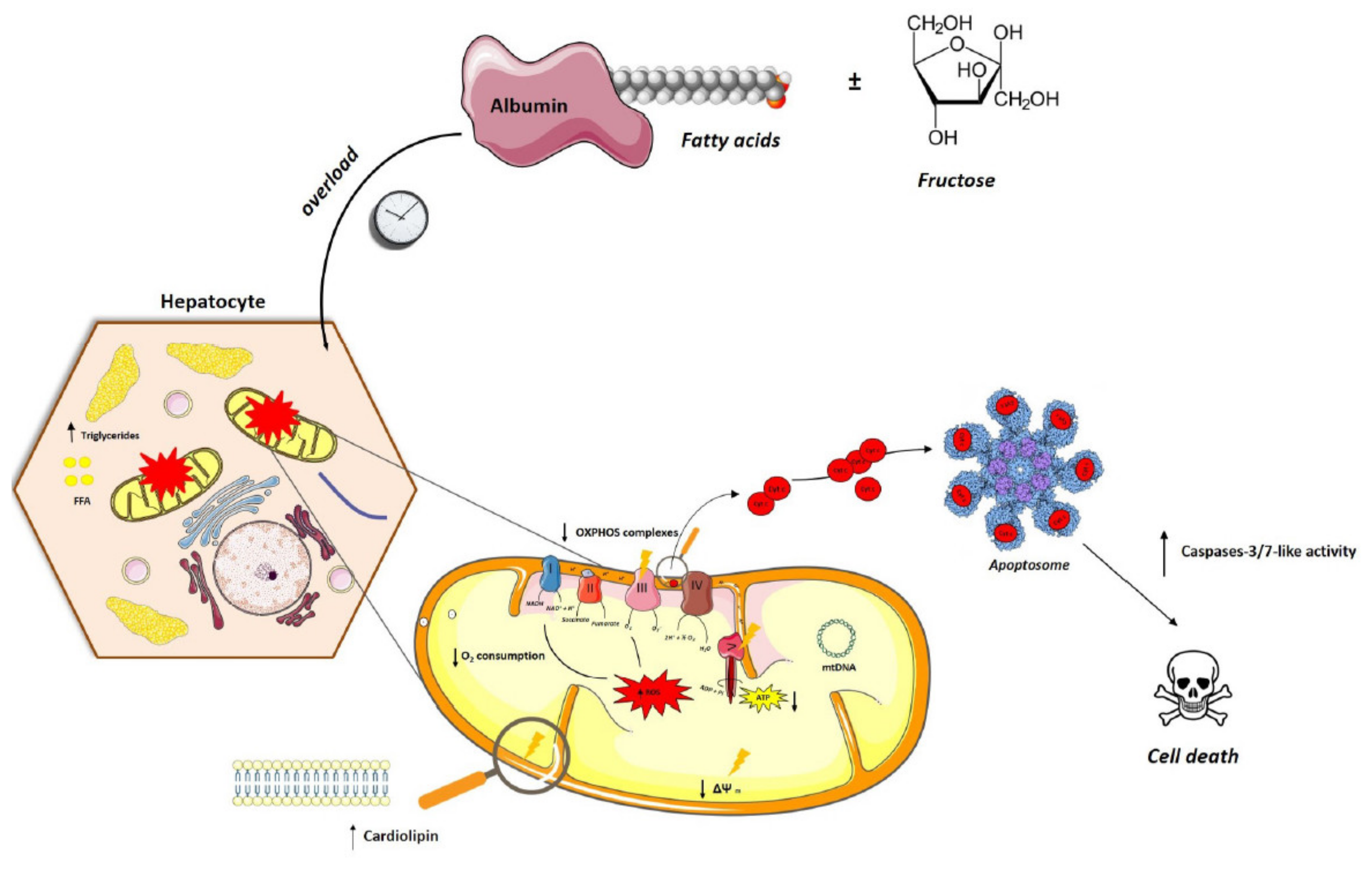Nutrients 13 01723 g008