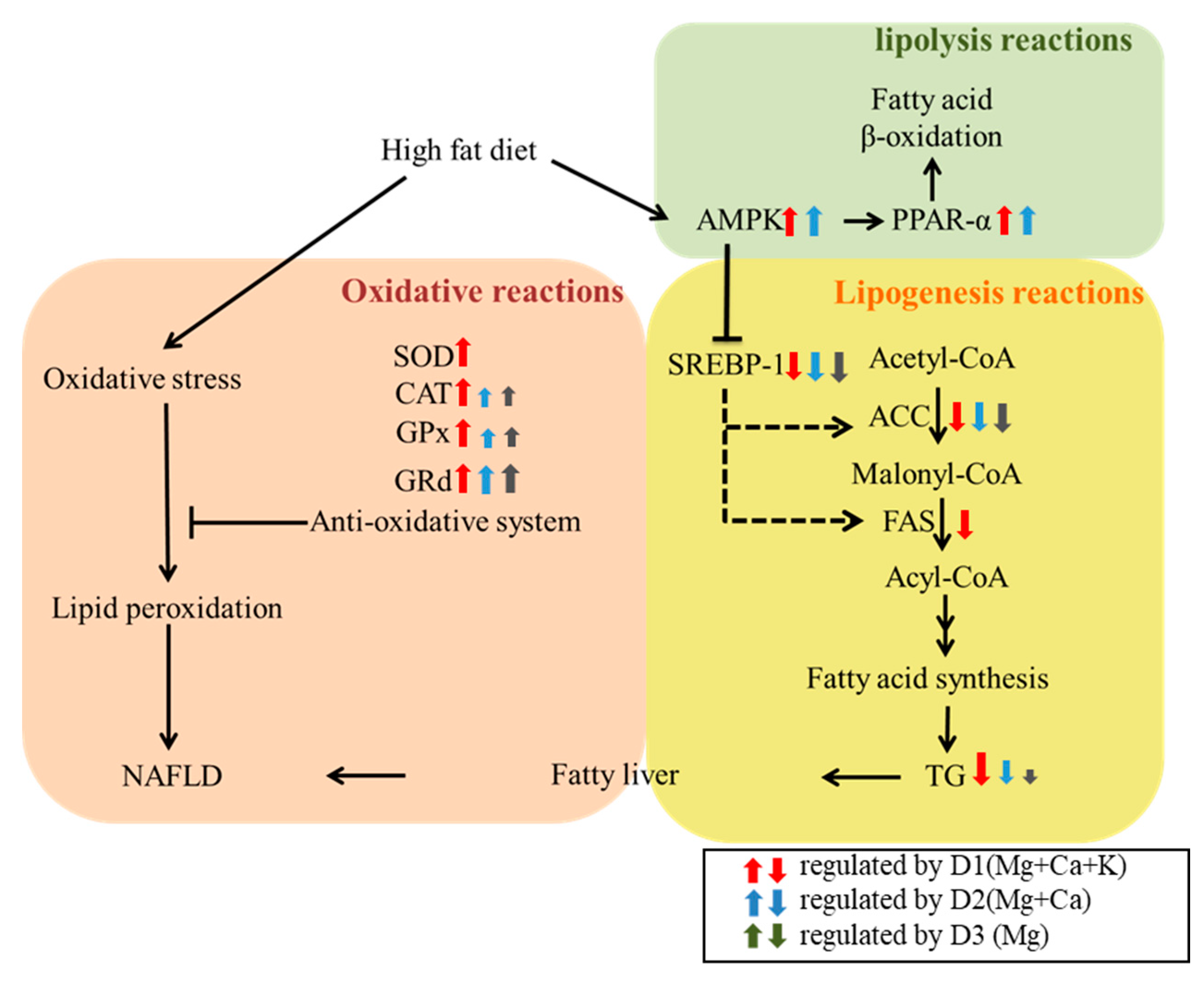 Nutrients 13 01732 g006 Nutrients 13 01732 g006