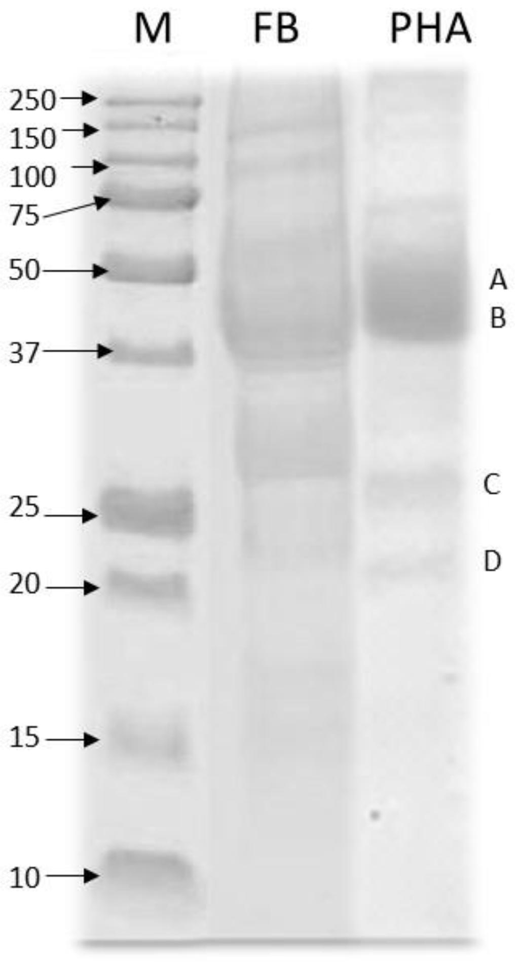 Nutrients 13 01750 g001 Nutrients 13 01750 g001
