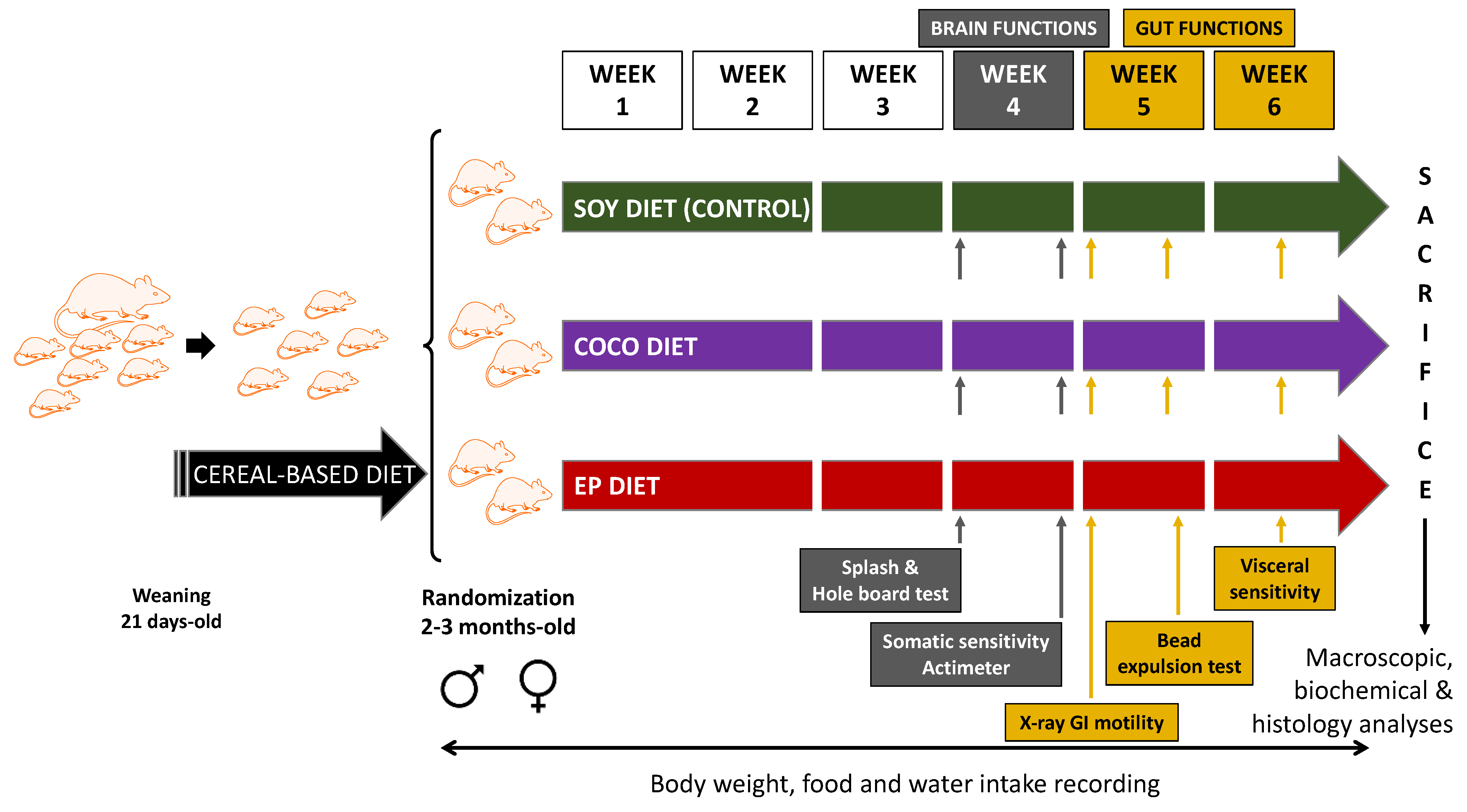 Nutrients 13 01864 g001