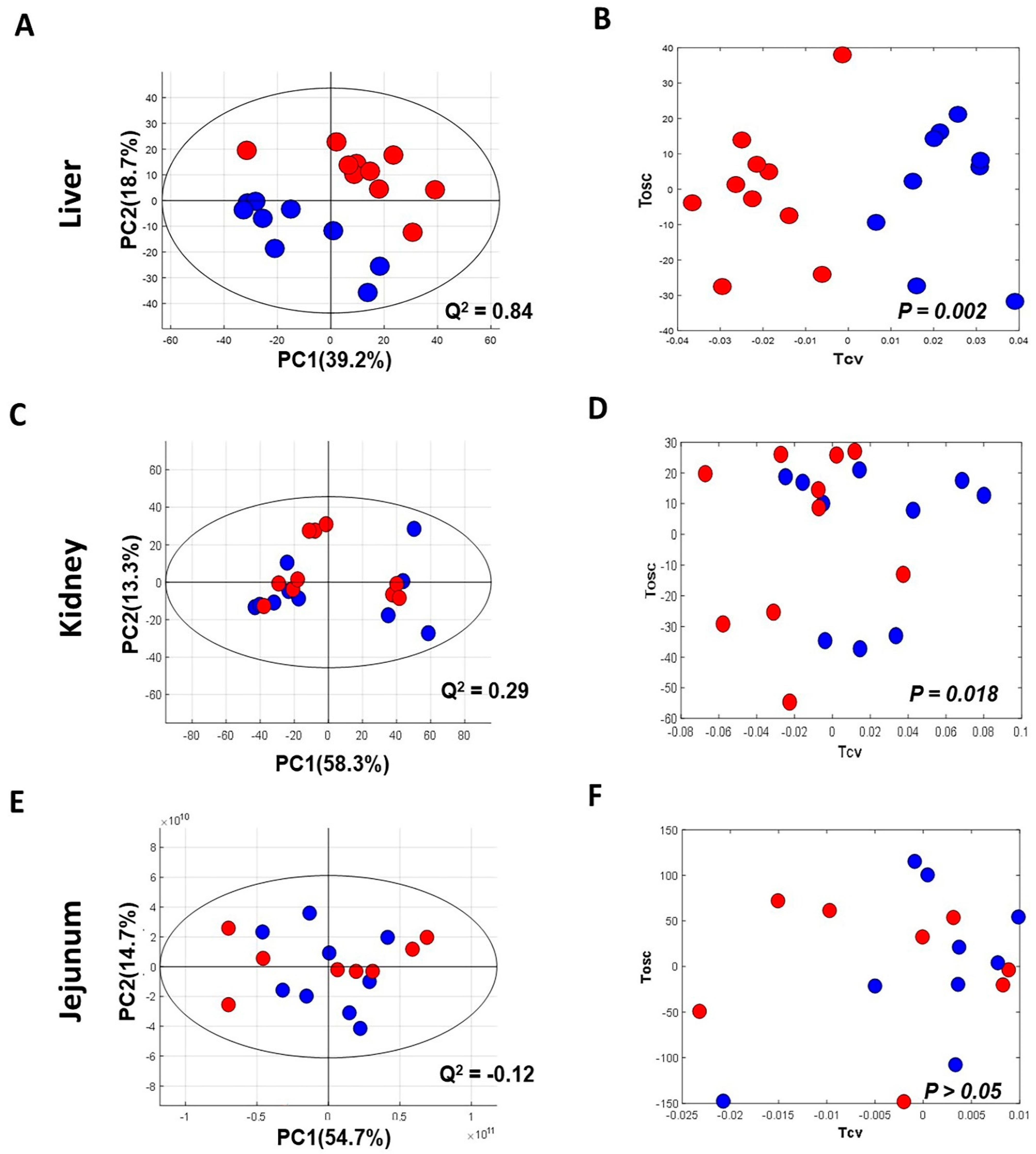 Nutrients 13 01865 g002 Nutrients 13 01865 g002